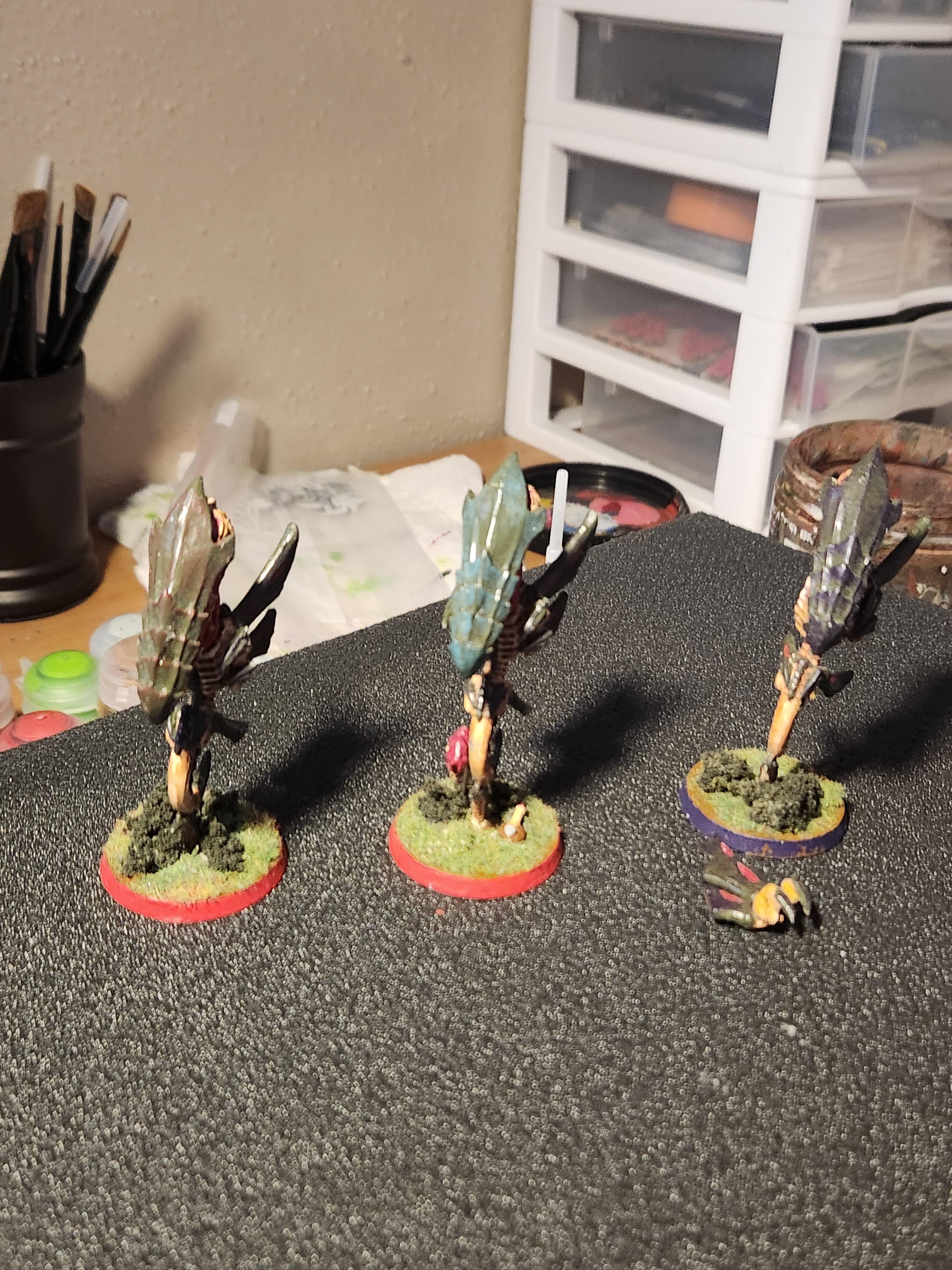 Zoanthrope, Zoanthropes