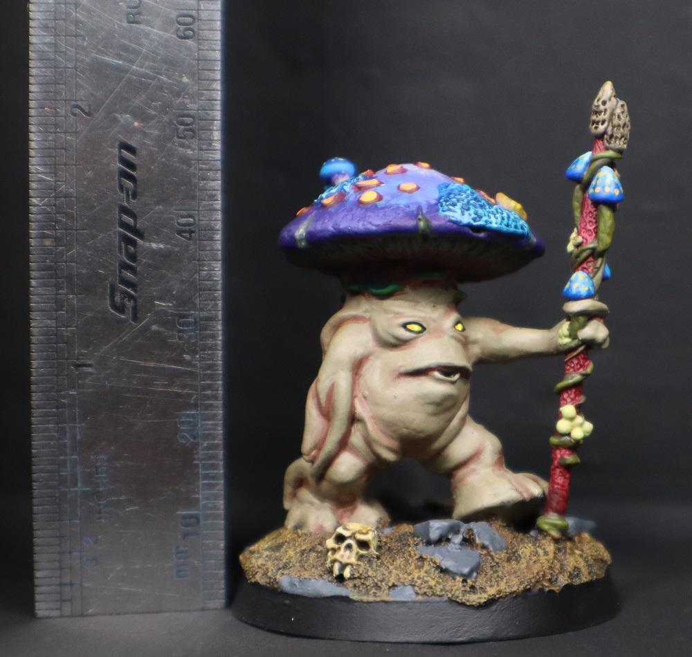 Carrero Arts, Carreroarts, Dark Heaven Legends, Miniature Painting, Mushroom King, Painted Dark Heaven Minis, Painted Metal Miniatures, Painted Reaper Miniature, Painted Reaper Minis, Pro Painted Miniature, Pro Painted Reaper, Reaper Metal Minis Painted, Reaper Miniatures, Reaper Minis, Reaper Painted Miniature, Table Top Wargames