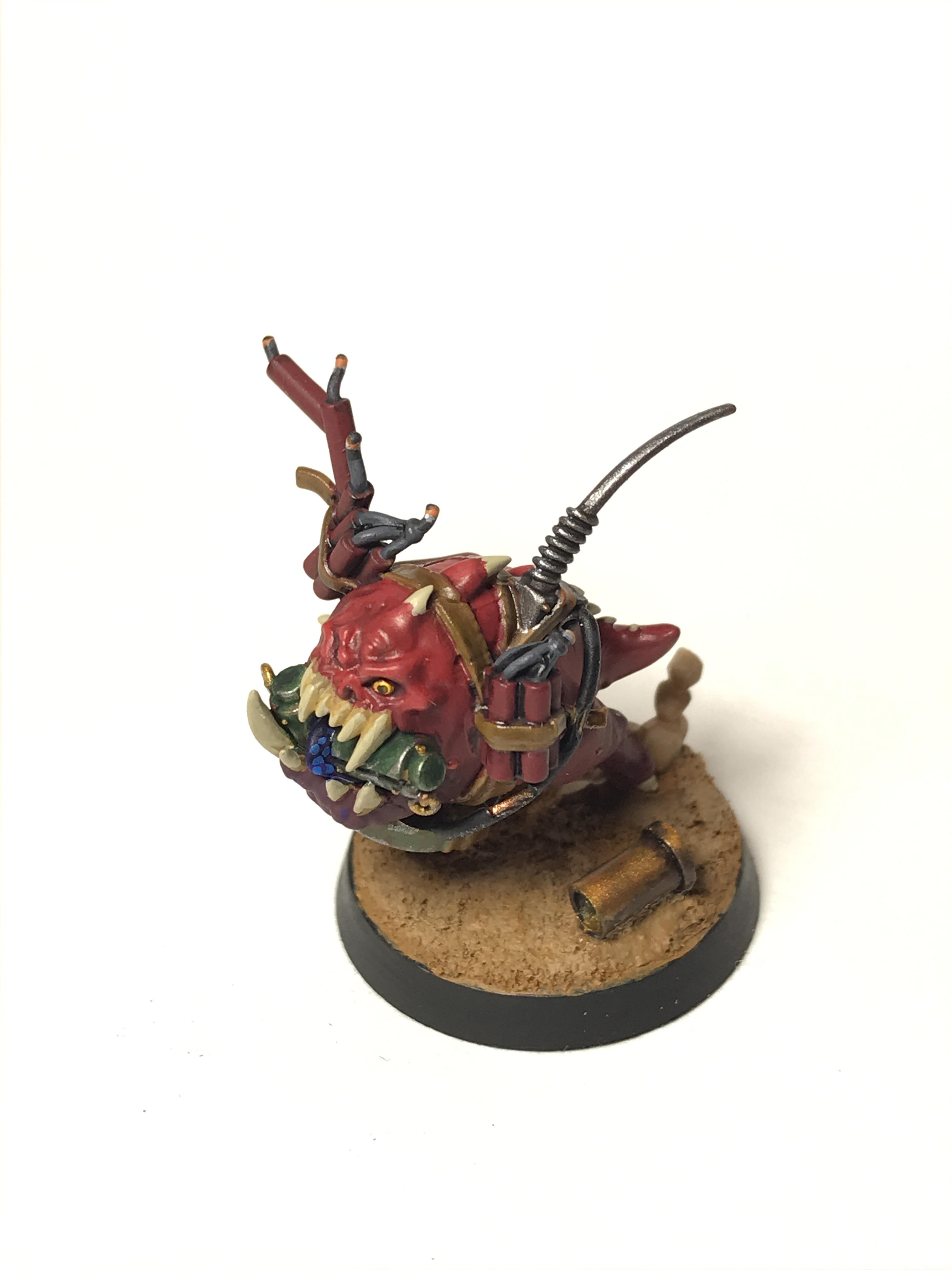 Bomb Squig, Kill Team, Kommando, Octarius, Orks, Warhammer 40,000
