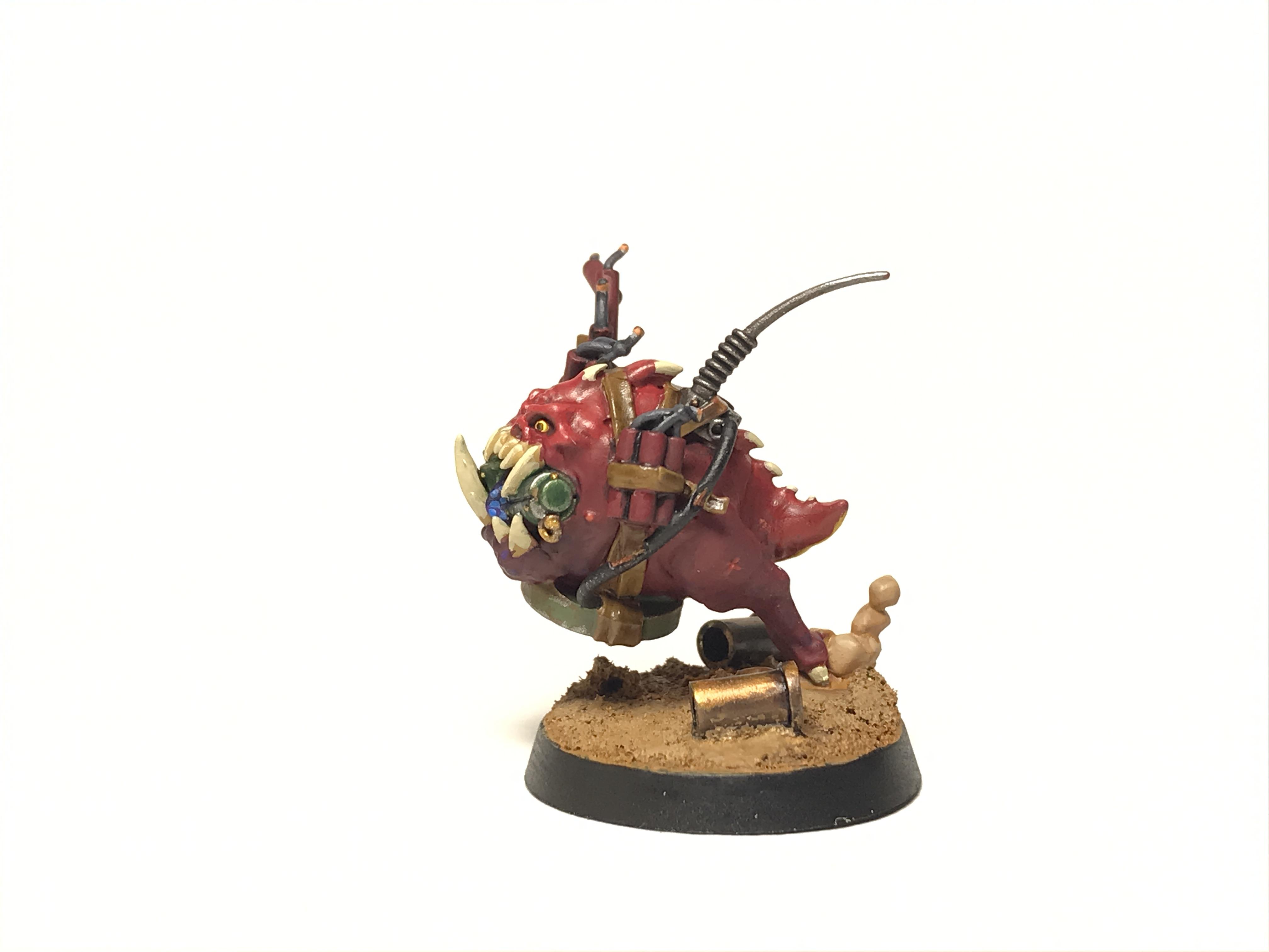 Bomb Squig, Kill Team, Kommando, Octarius, Orks, Warhammer 40,000