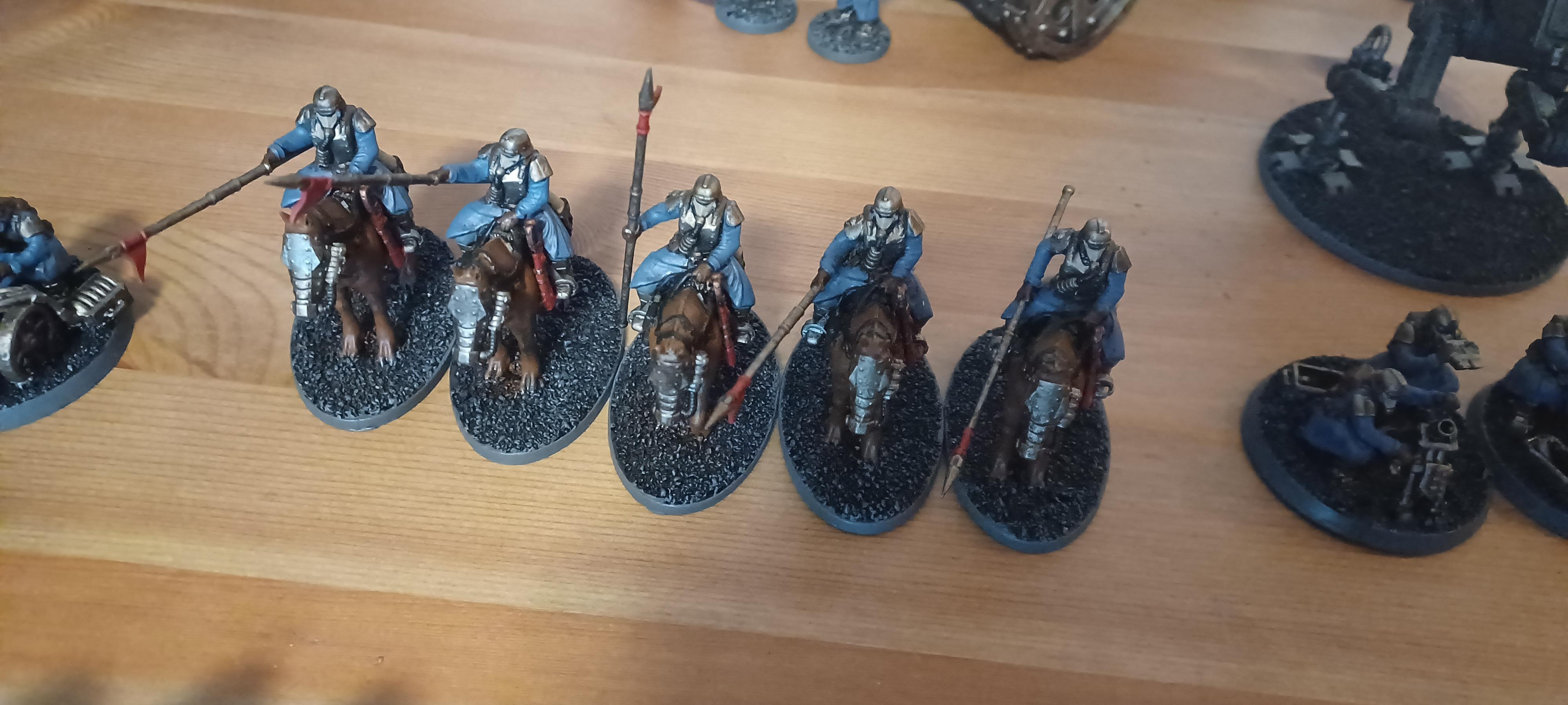 Rough riders 