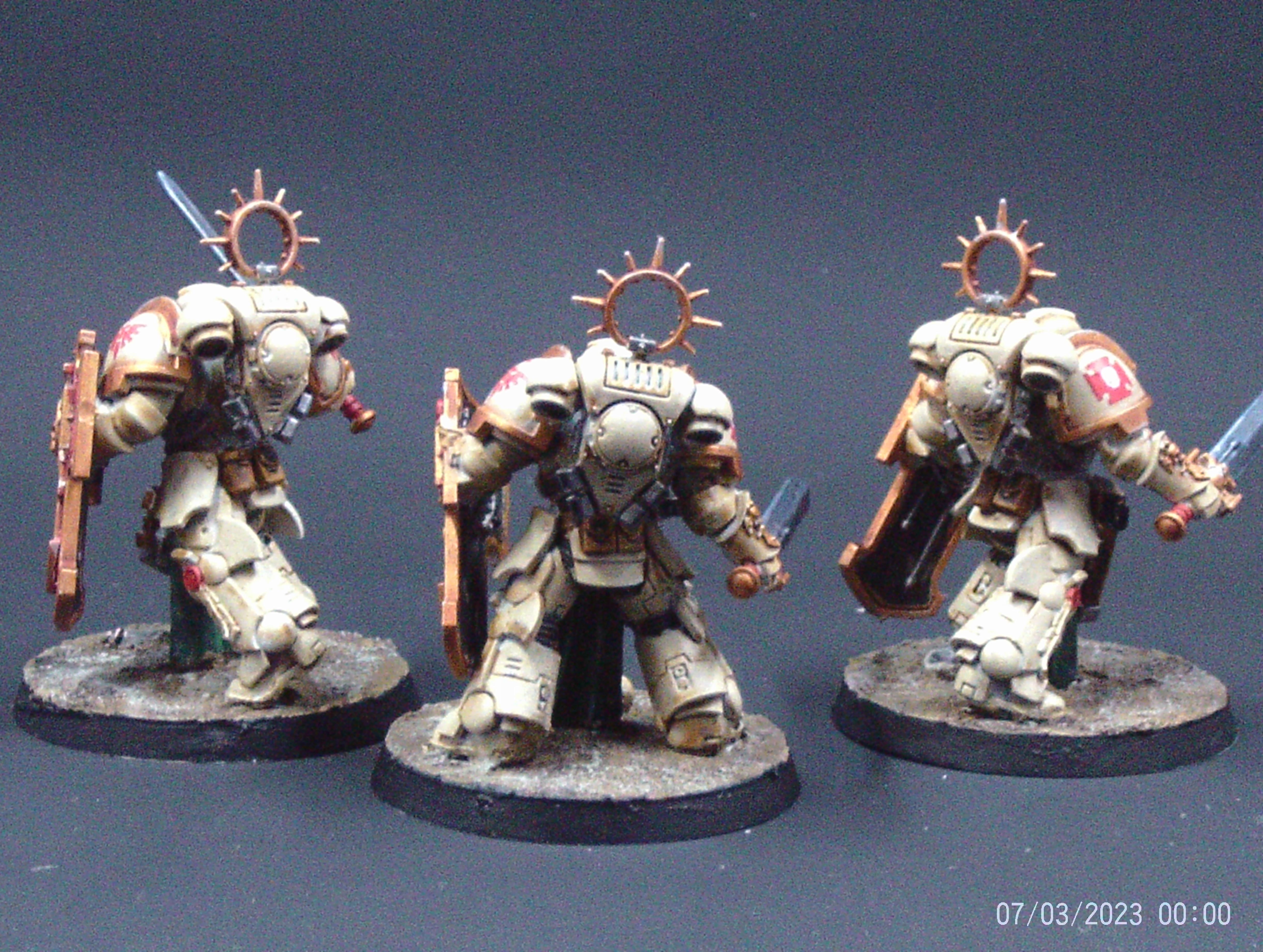 Bladeguard Veterans Rear