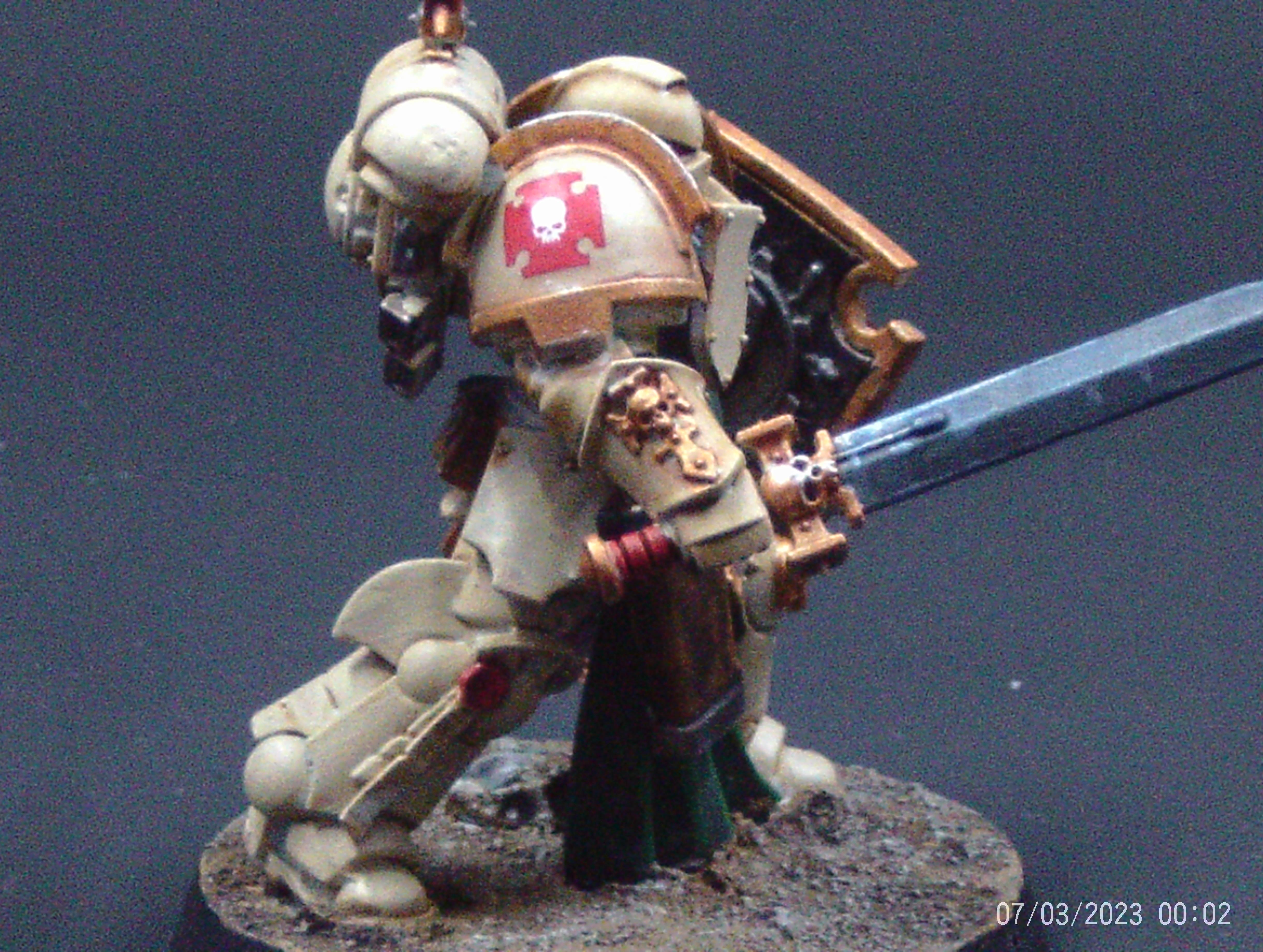 Bladeguard Veteran 2
