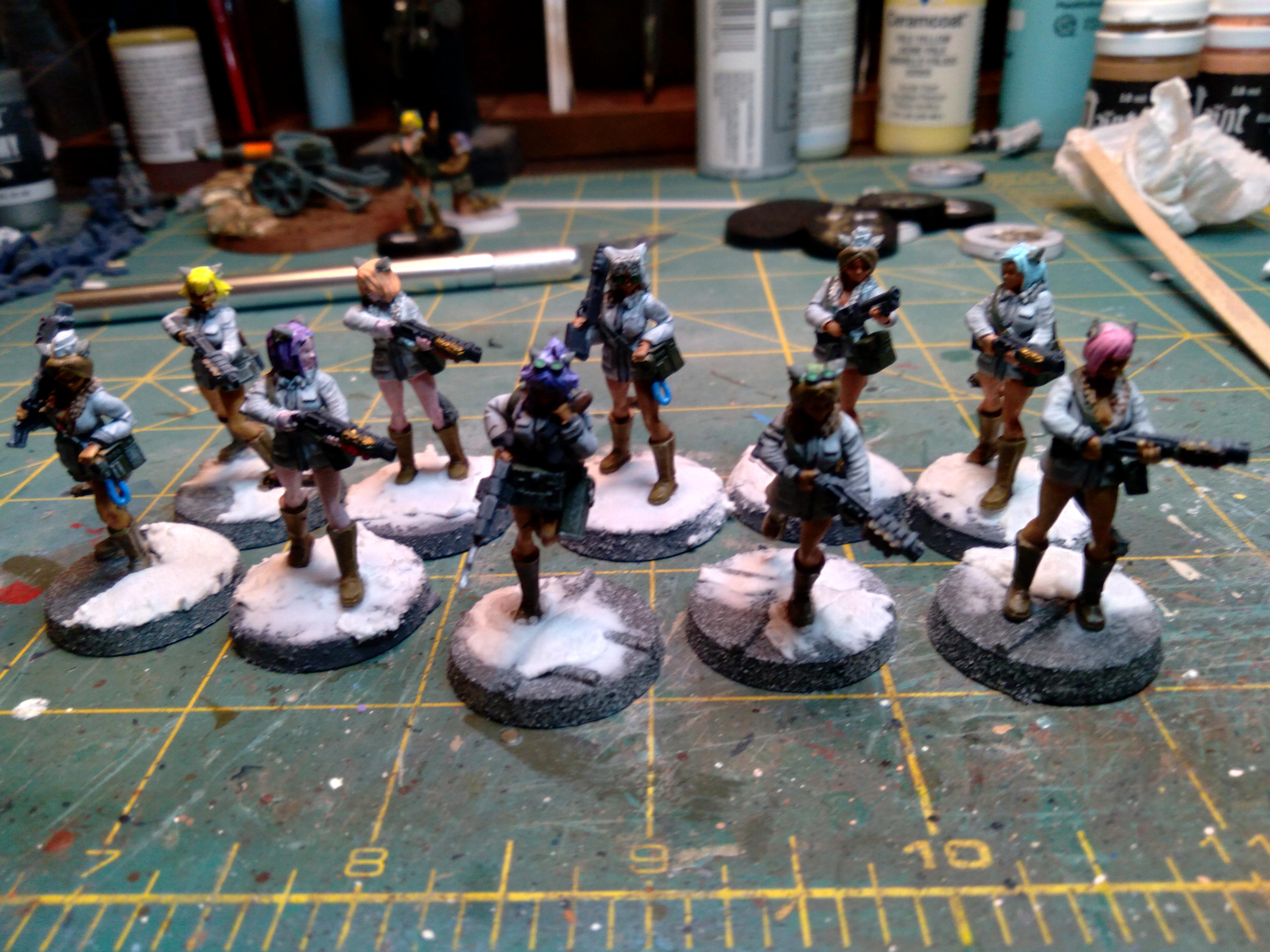 Cqb, Shotguns, Winterguard