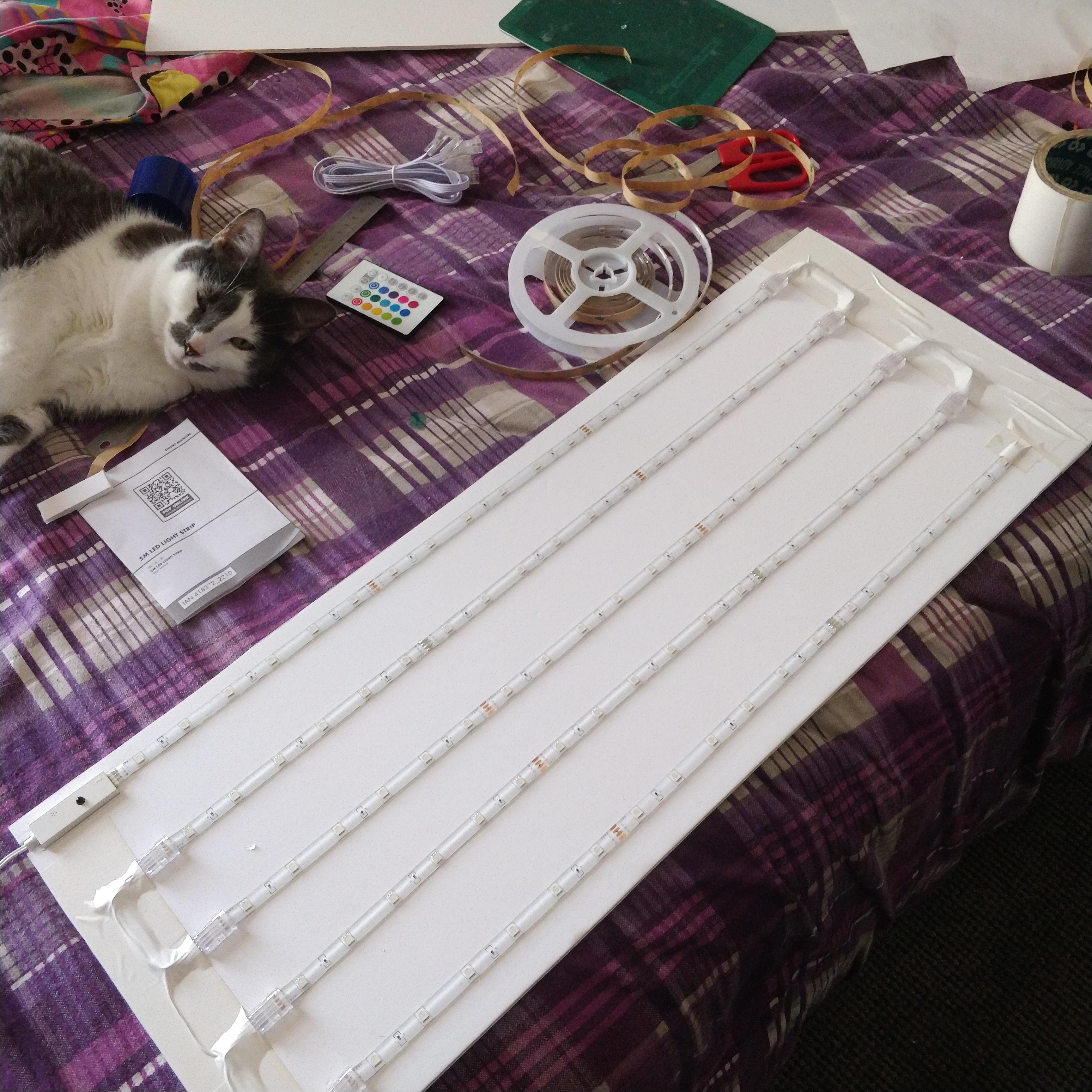 Display Shelf, Kitty, Leds, Light Box