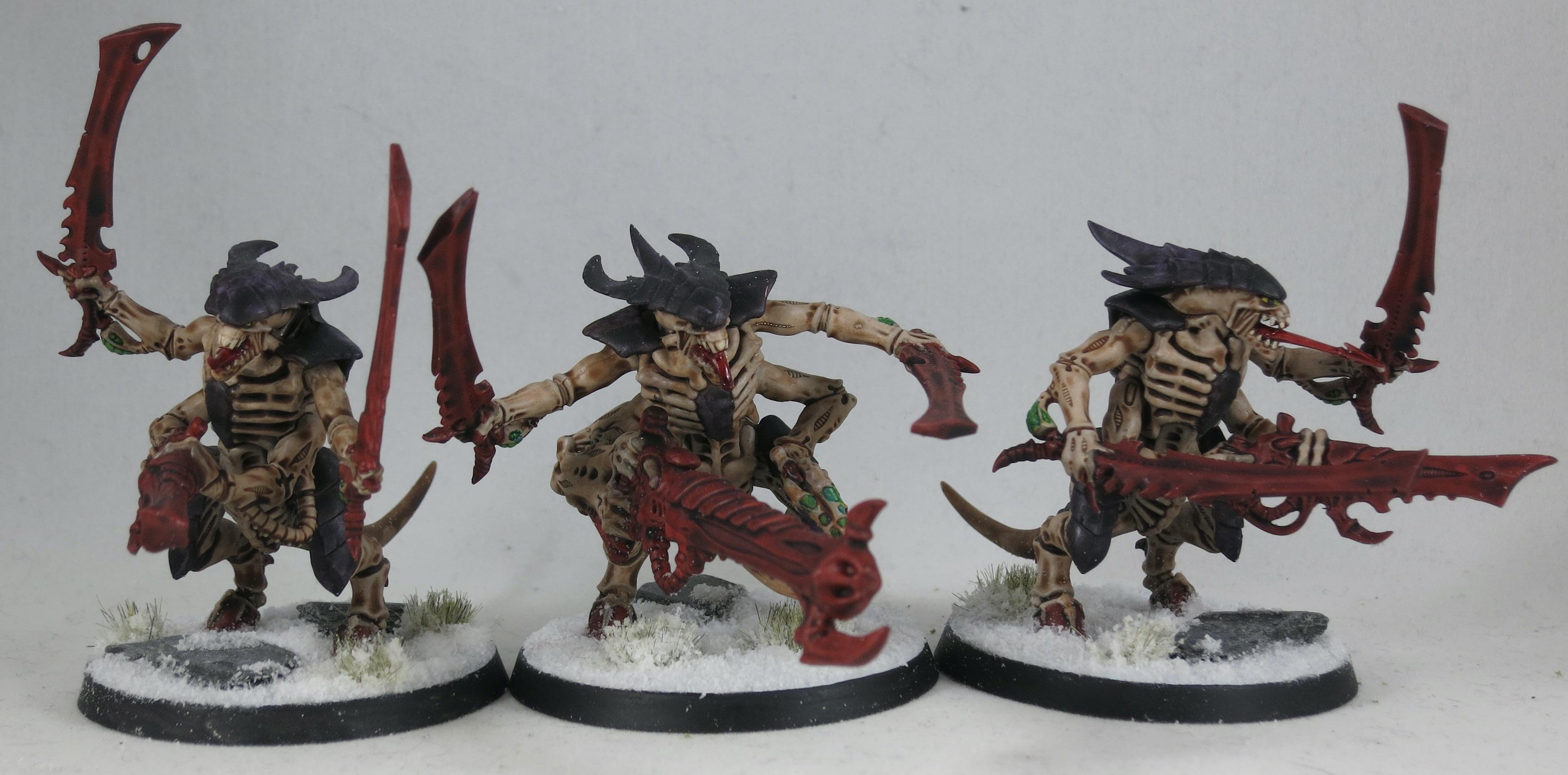 Warriors