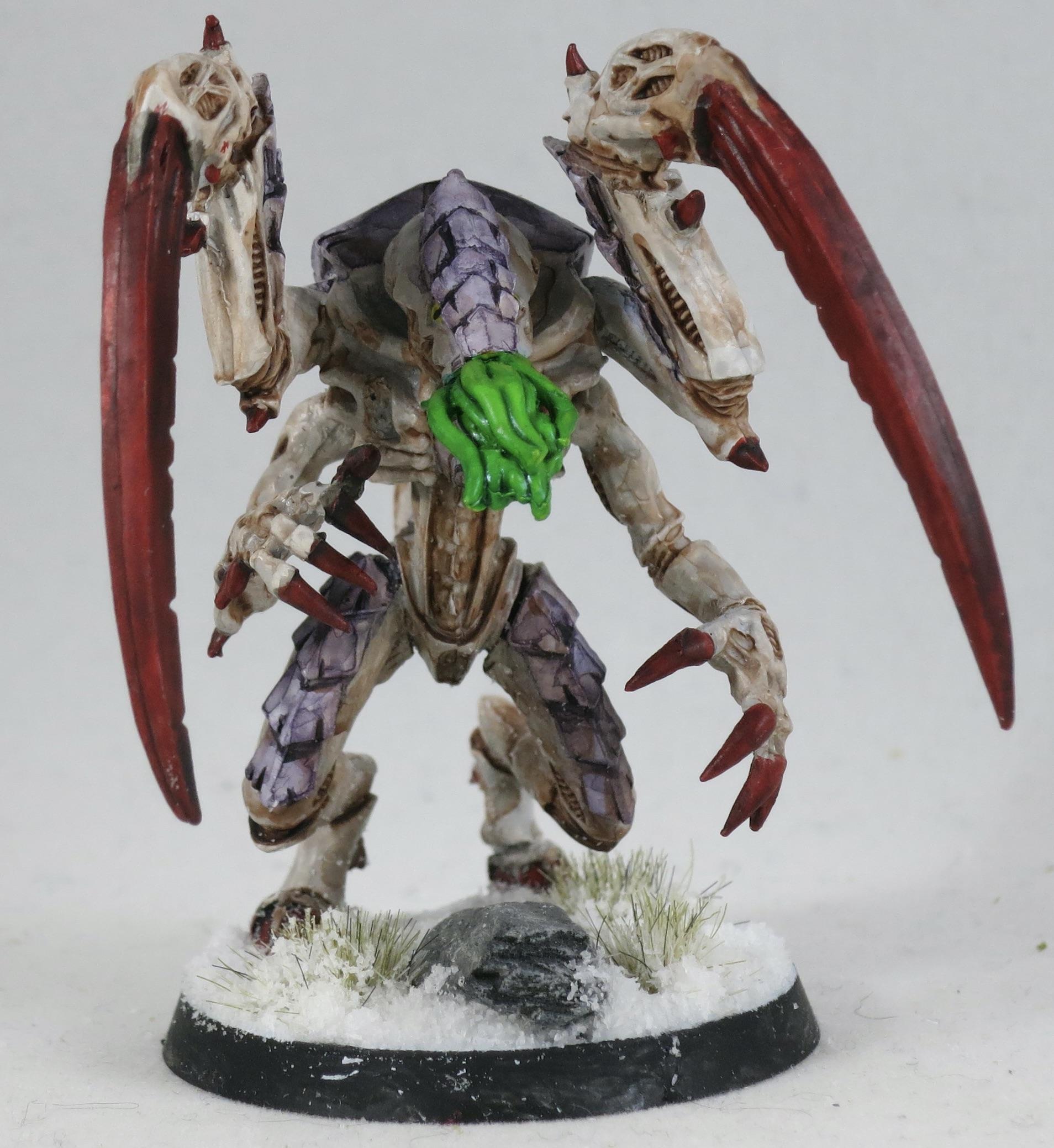 Lictor