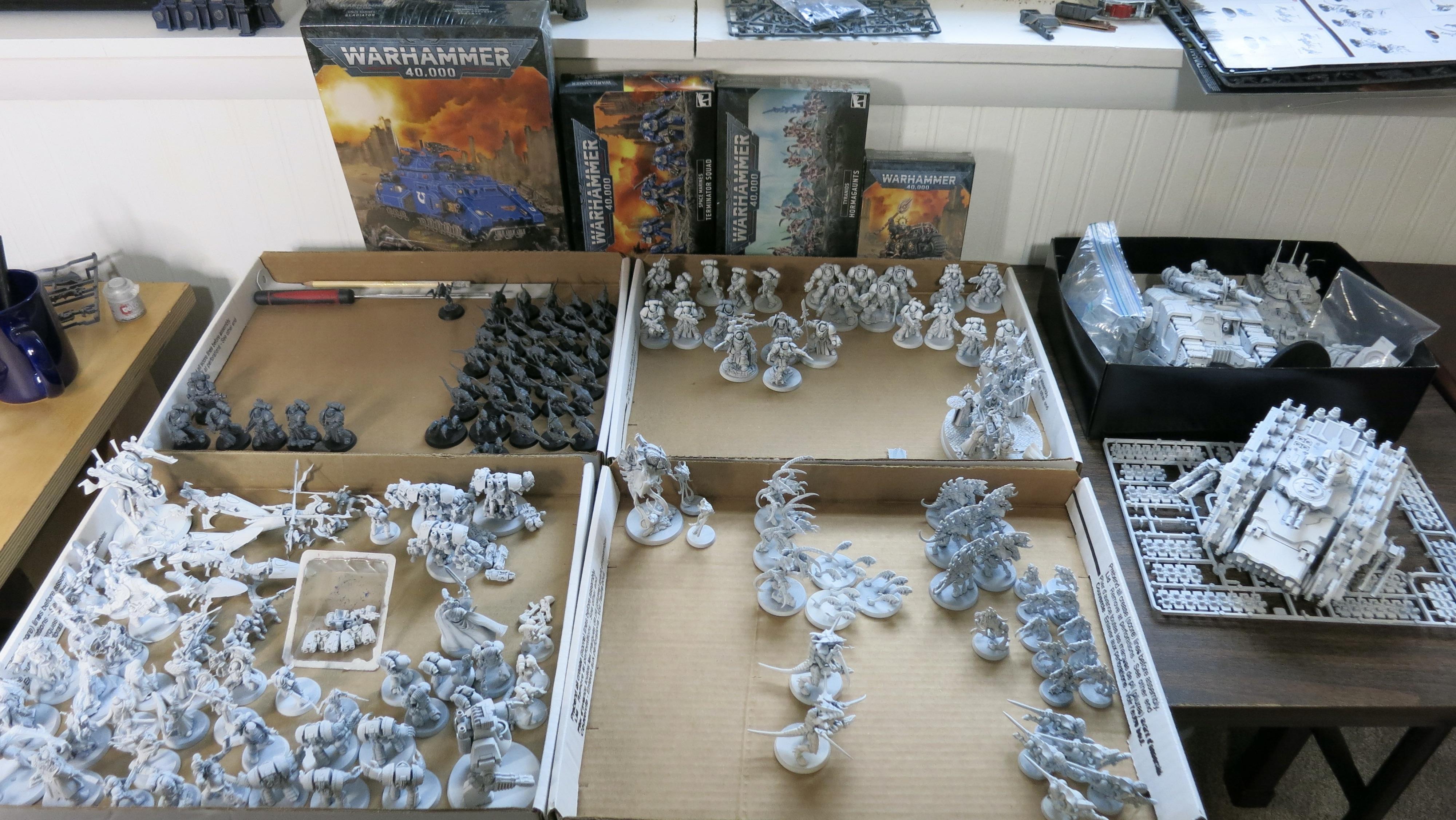 2024 start prime+build