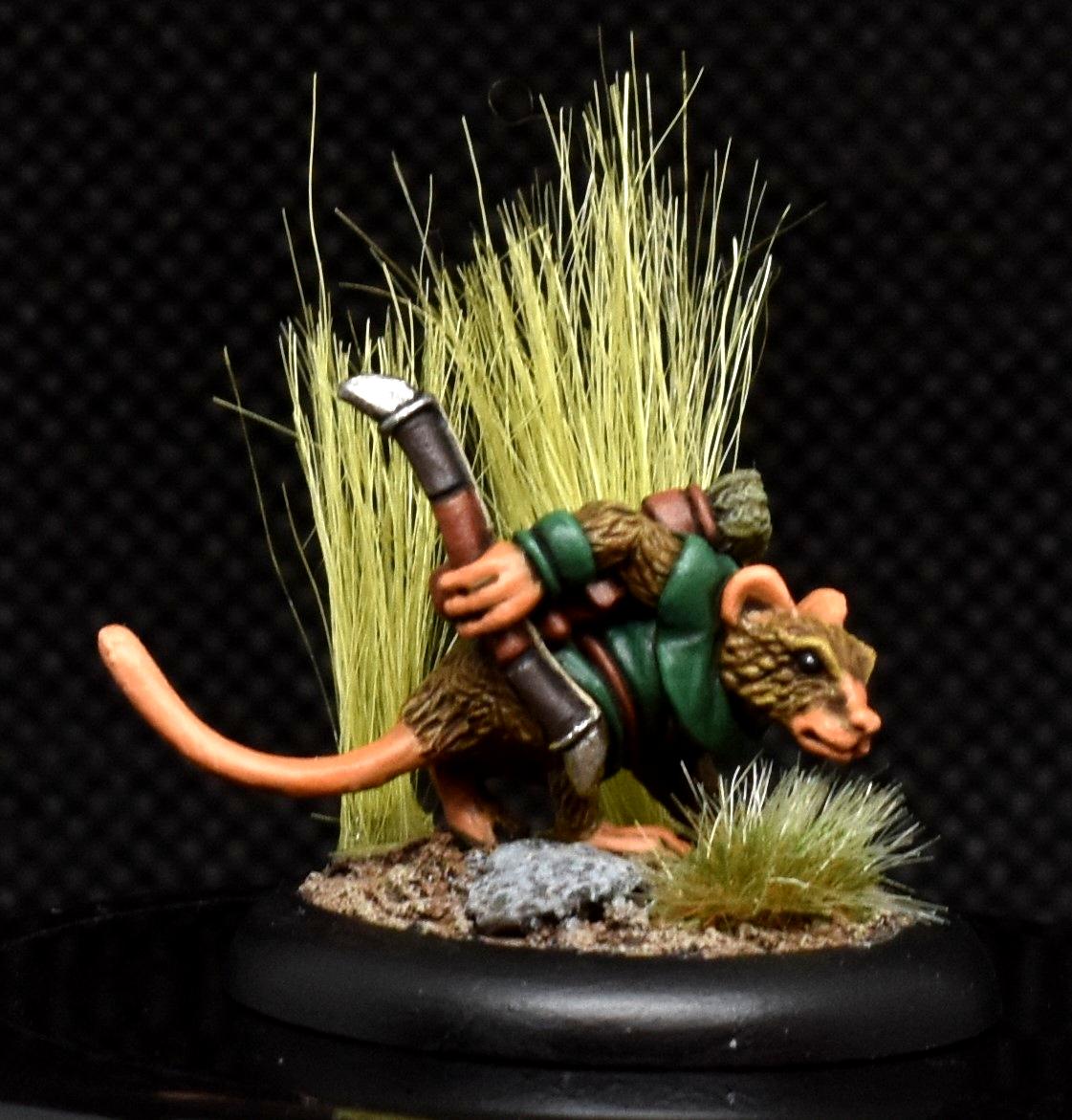 Burrows And Badgers