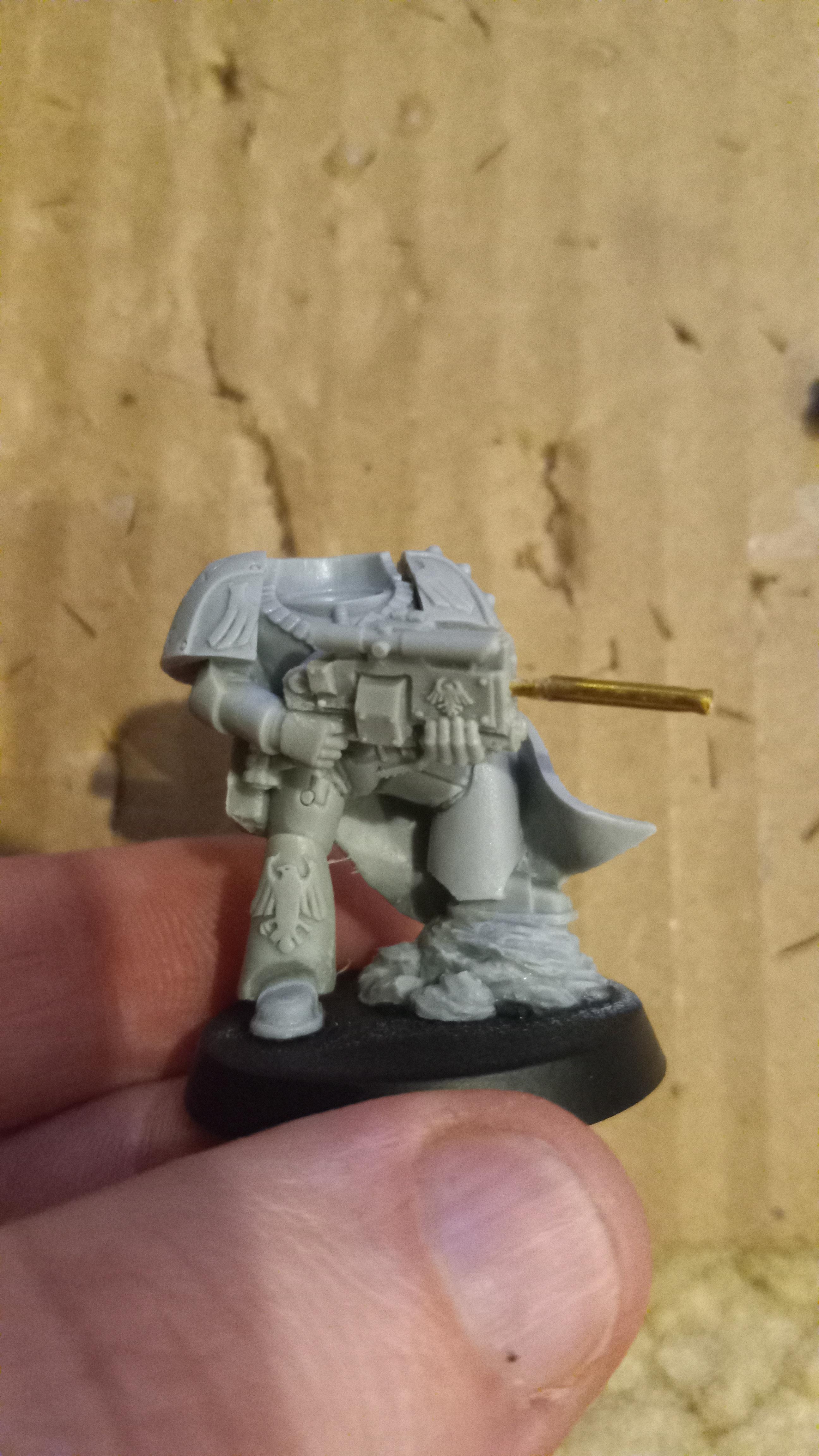 wip Sternguard