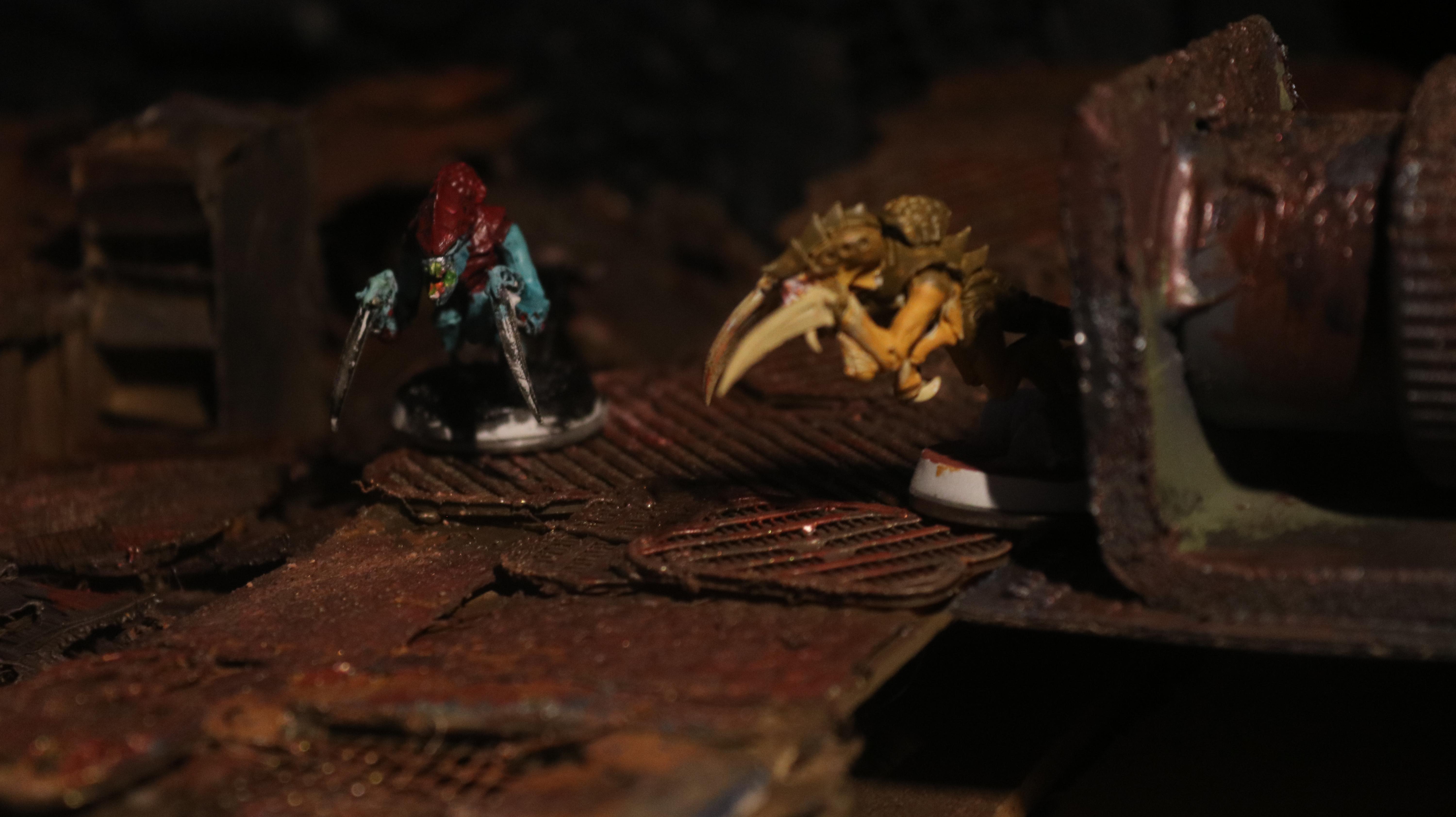 Alternate Units, Catachan Jungle Fighter, Diorama, Female Imperial Guard, Gruvee, Imperial Guard, Ocs, Space Crusade, Space Nam, Women
