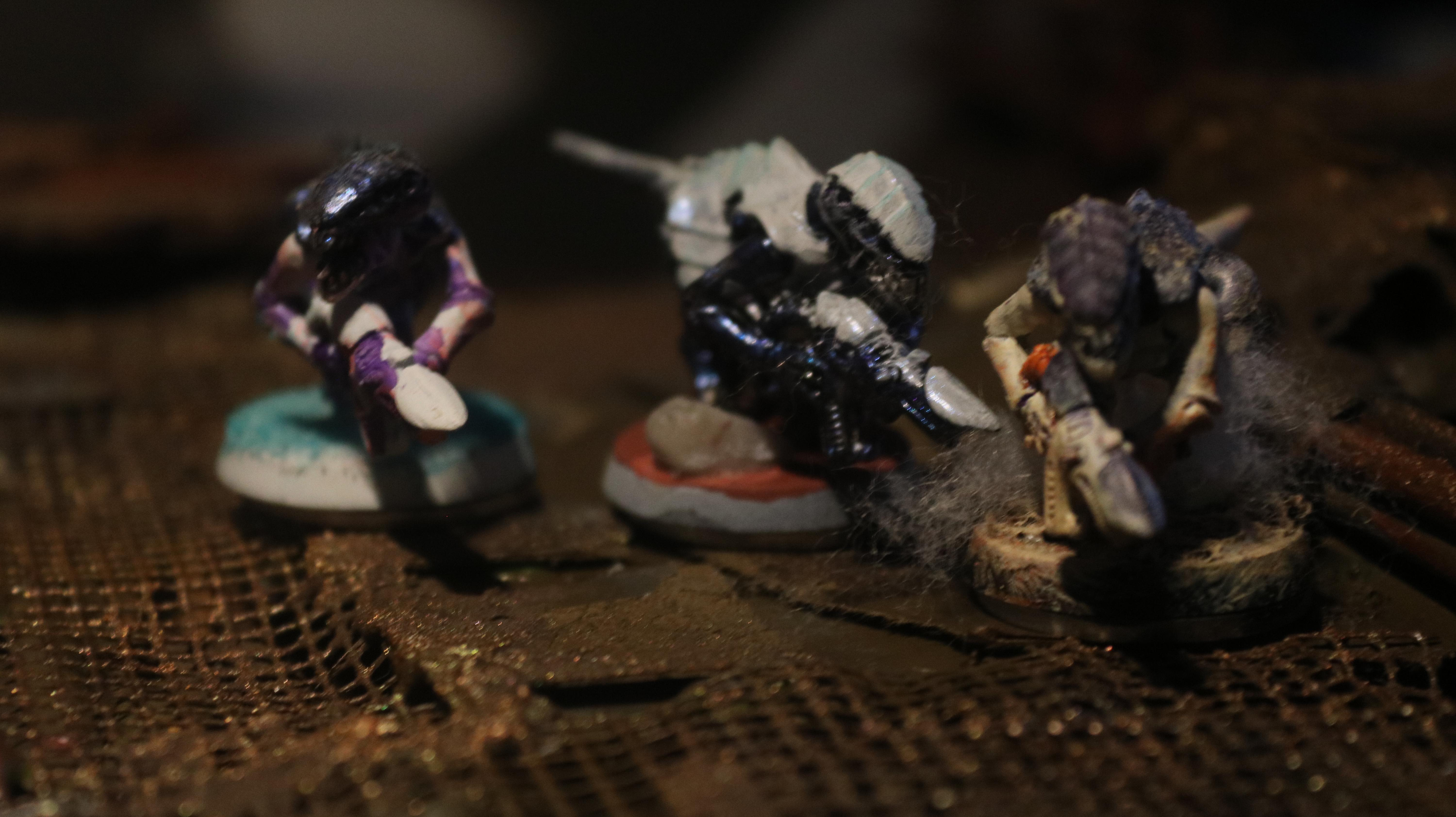 Alternate Units, Catachan Jungle Fighter, Diorama, Female Imperial Guard, Gruvee, Imperial Guard, Ocs, Space Crusade, Space Nam, Women