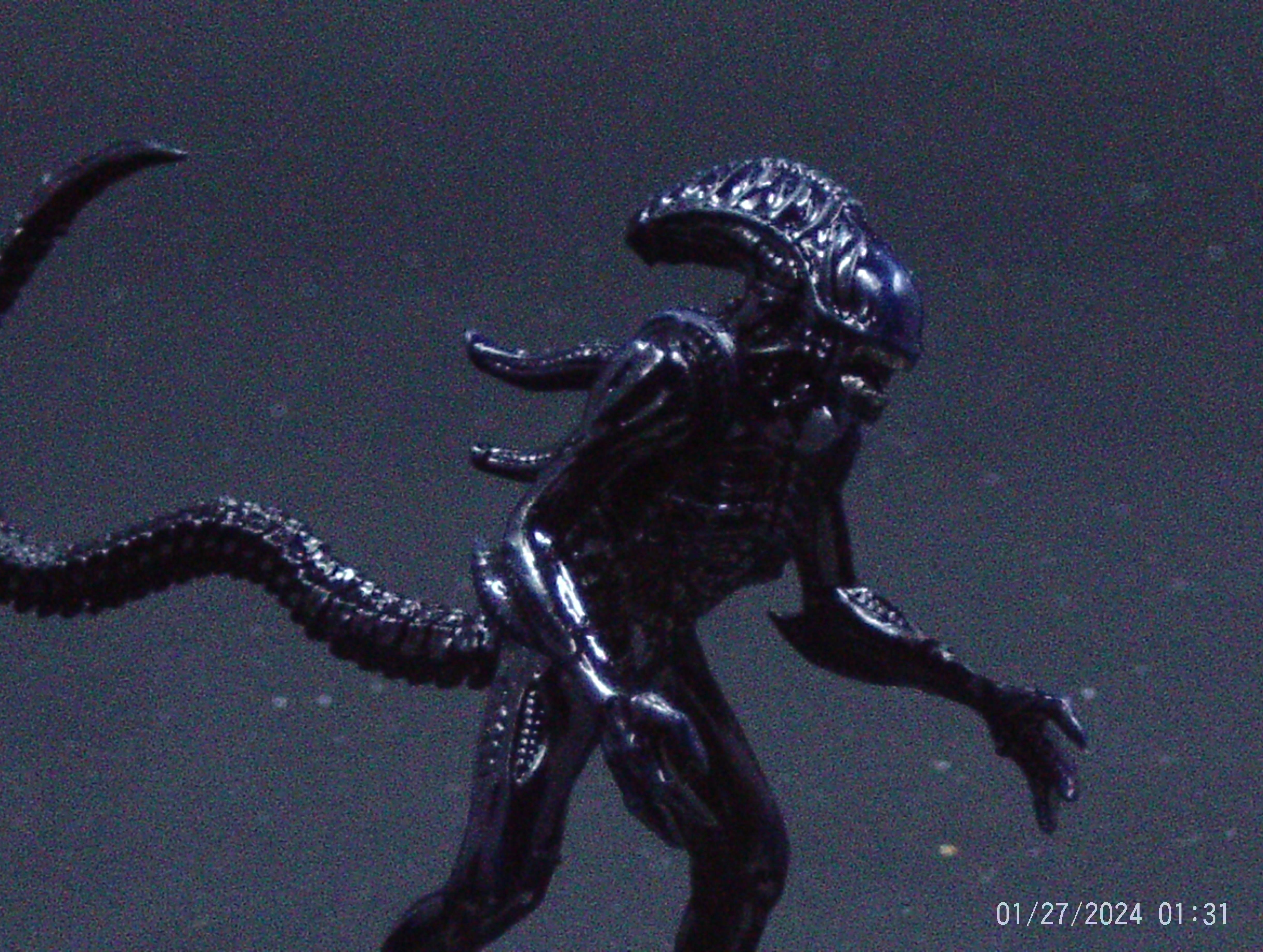 Aliens, Colonial, Facehugger, Giger, Horrors, Soldier, Space Marines, Xenomorph
