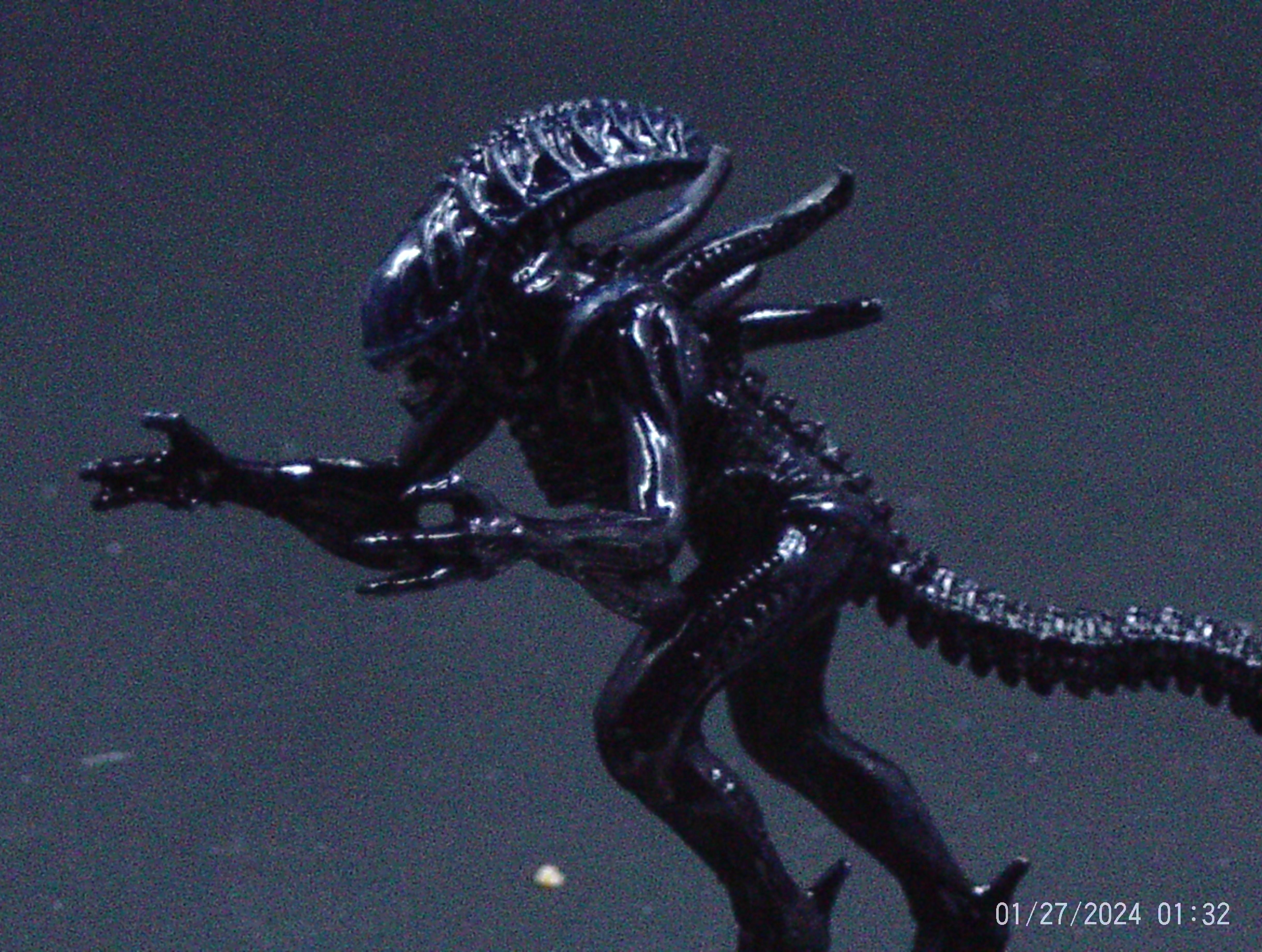 Aliens, Colonial, Facehugger, Giger, Horrors, Soldier, Space Marines, Xenomorph