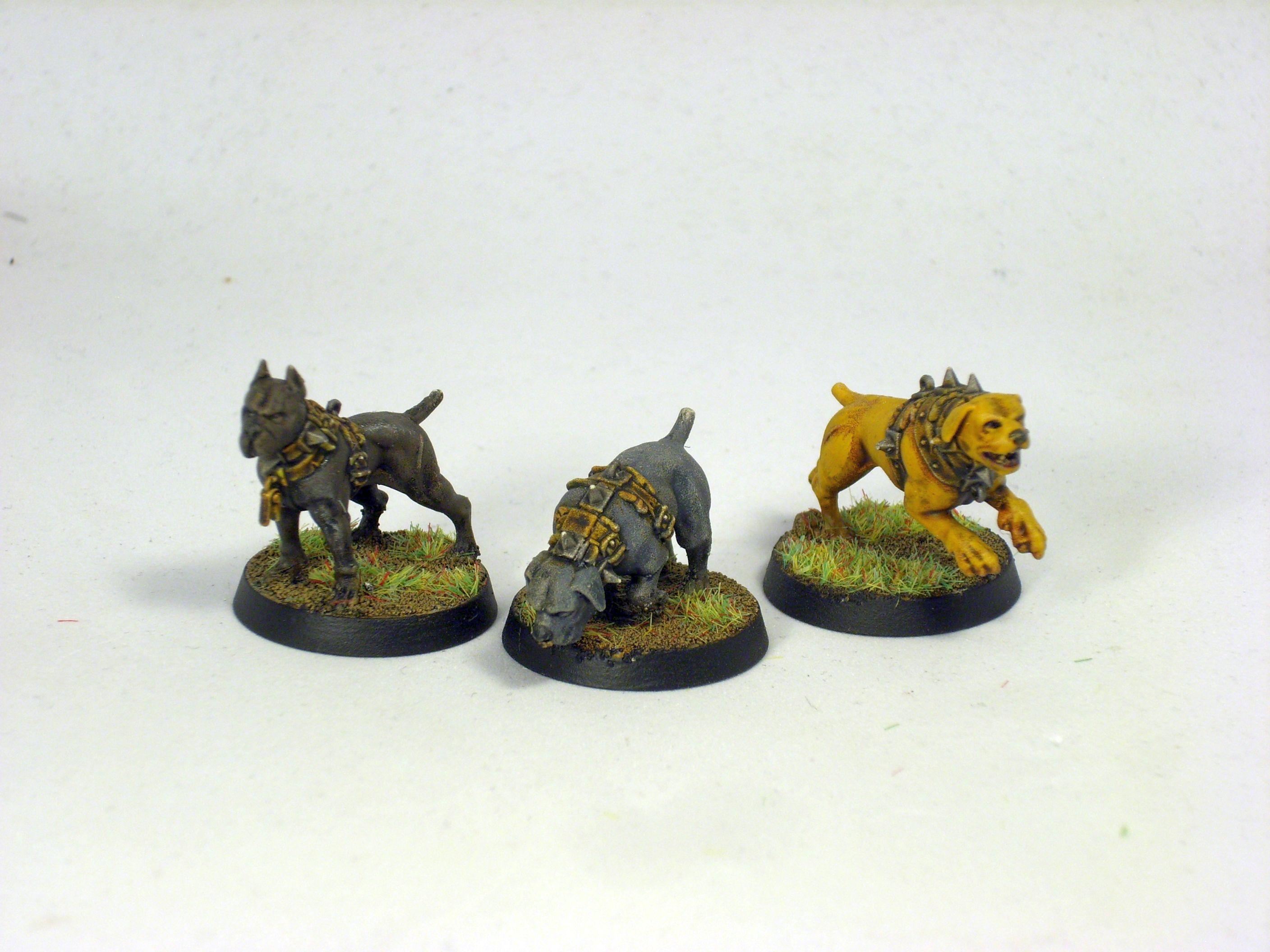 Age Of Sigmar, Brown, Cities Of Sigmar, Doggos, Mordheim, Rangers, Small But Vicious Dog, Warcry, Wfrp, Wildercorps, Wildercorps Hunters
