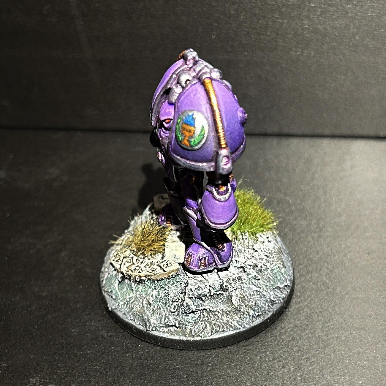 Image 4