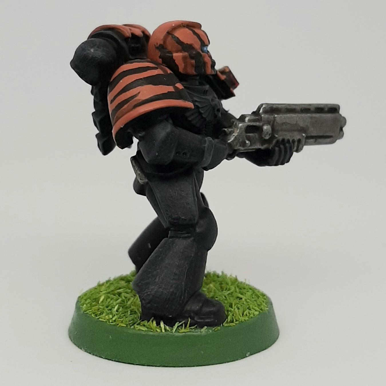 Astartes, Bolter, Boltgun, Camouflage, Claw, Combat, Conversion, Fang, Fighting, Forest, Green, India, Jungle, Orange, Paw, Pellets, Saber, Shells, Shotgun, Shotty, Slugs, Space, Space Marines, Squad, Stripes, Tigers, Tooth, Veda, Vedic