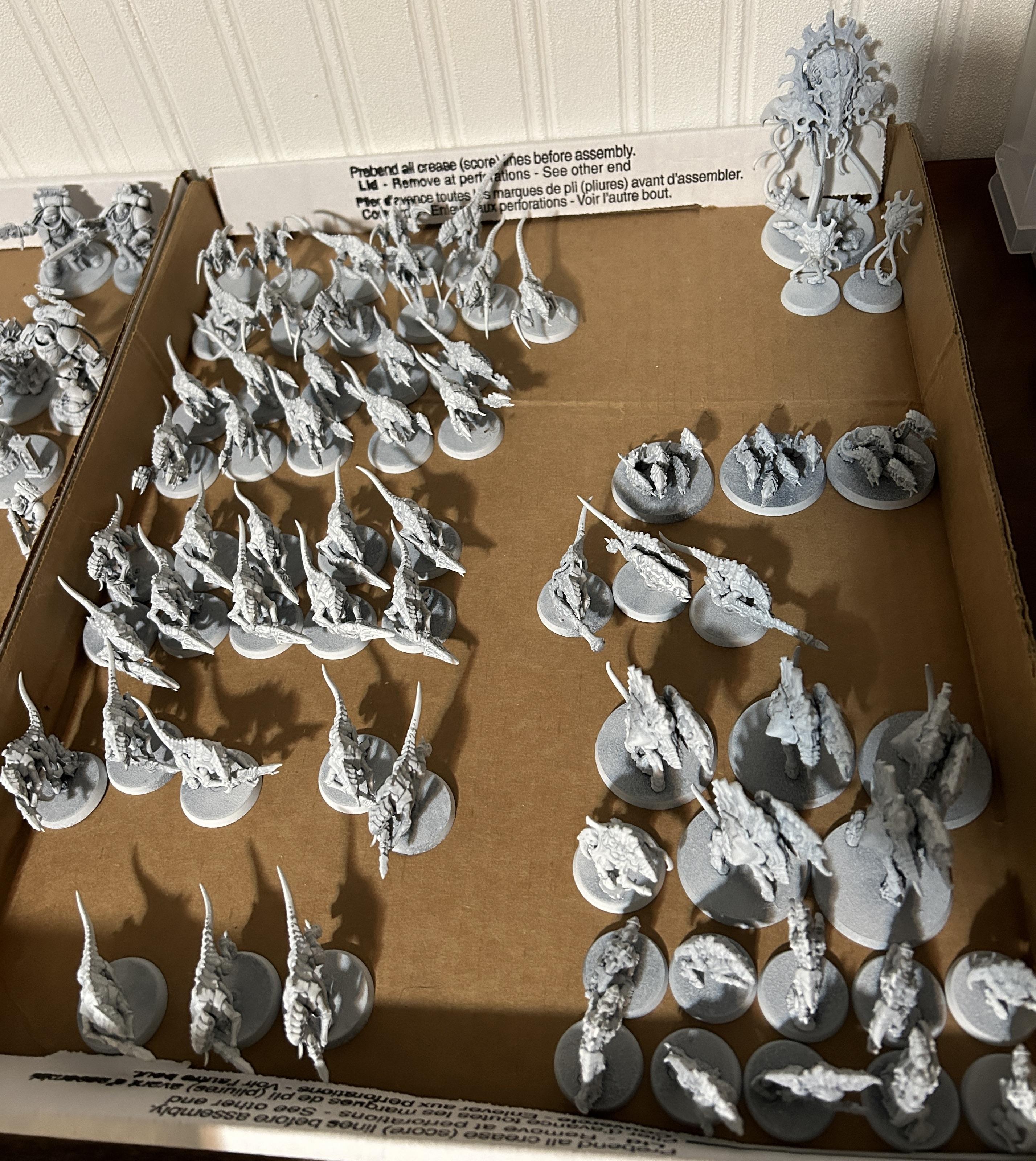 primed-nids