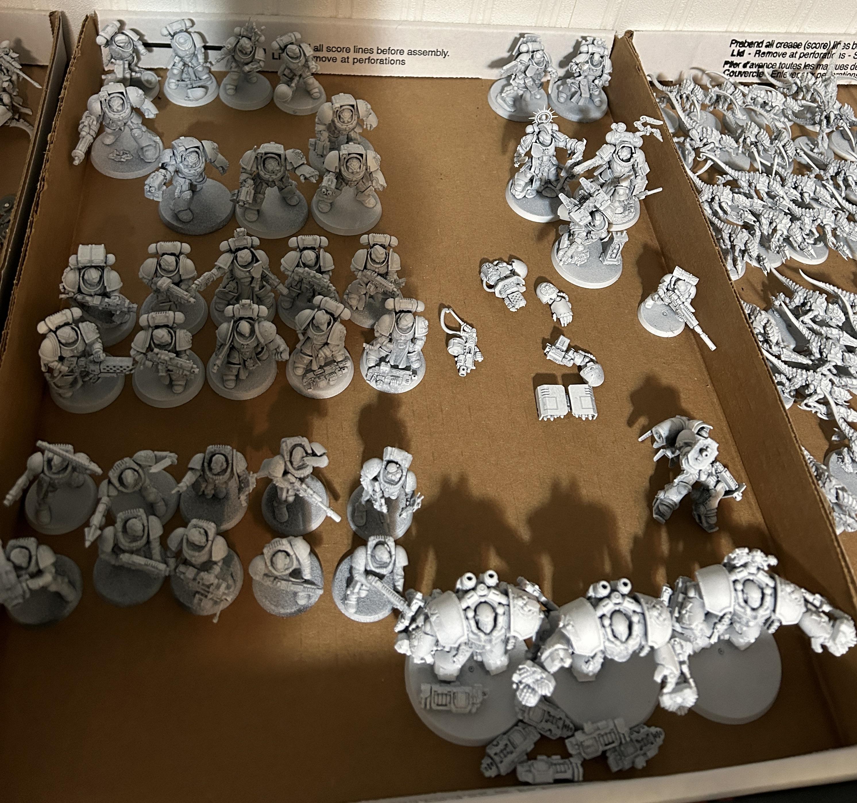 Primed-marines
