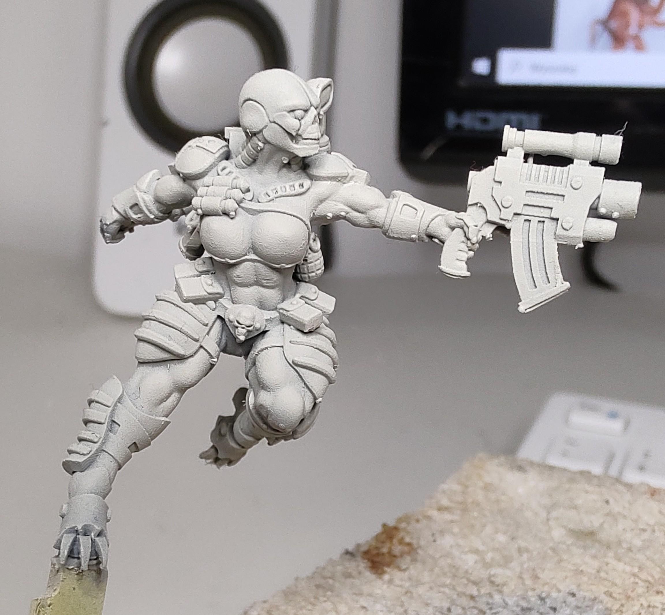 Eversor assassin proof pic