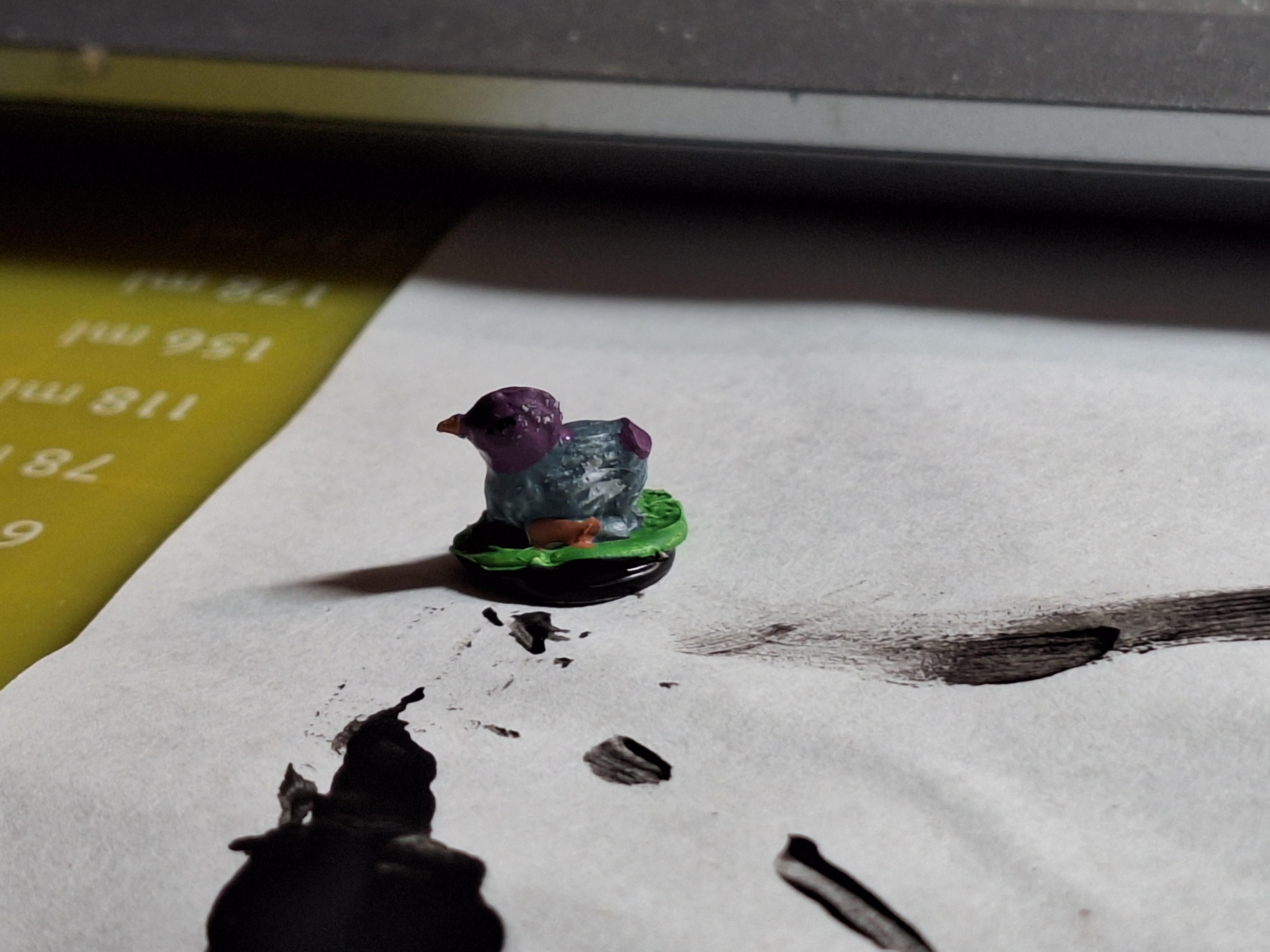Pigeon