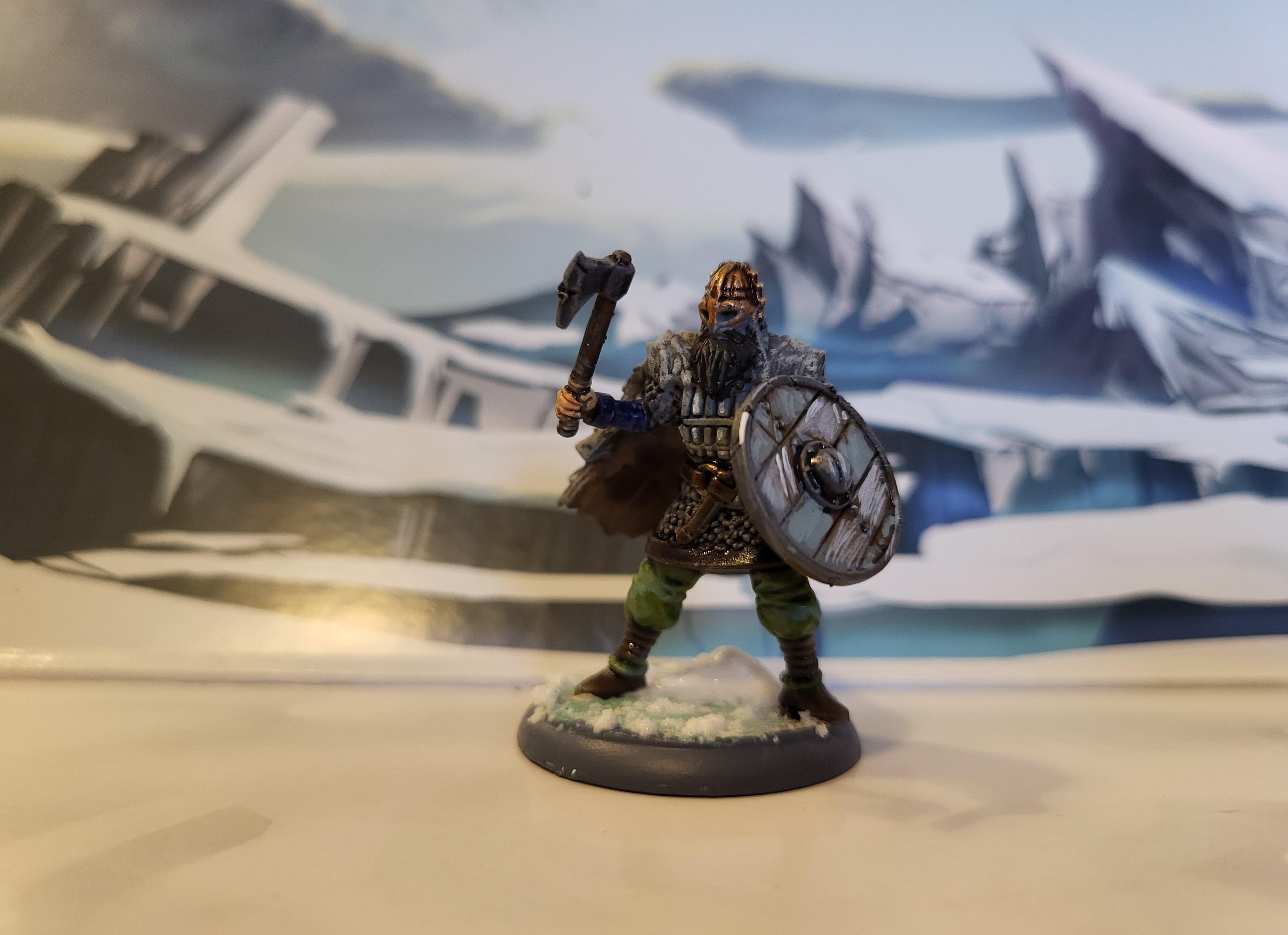 Viking, Raider