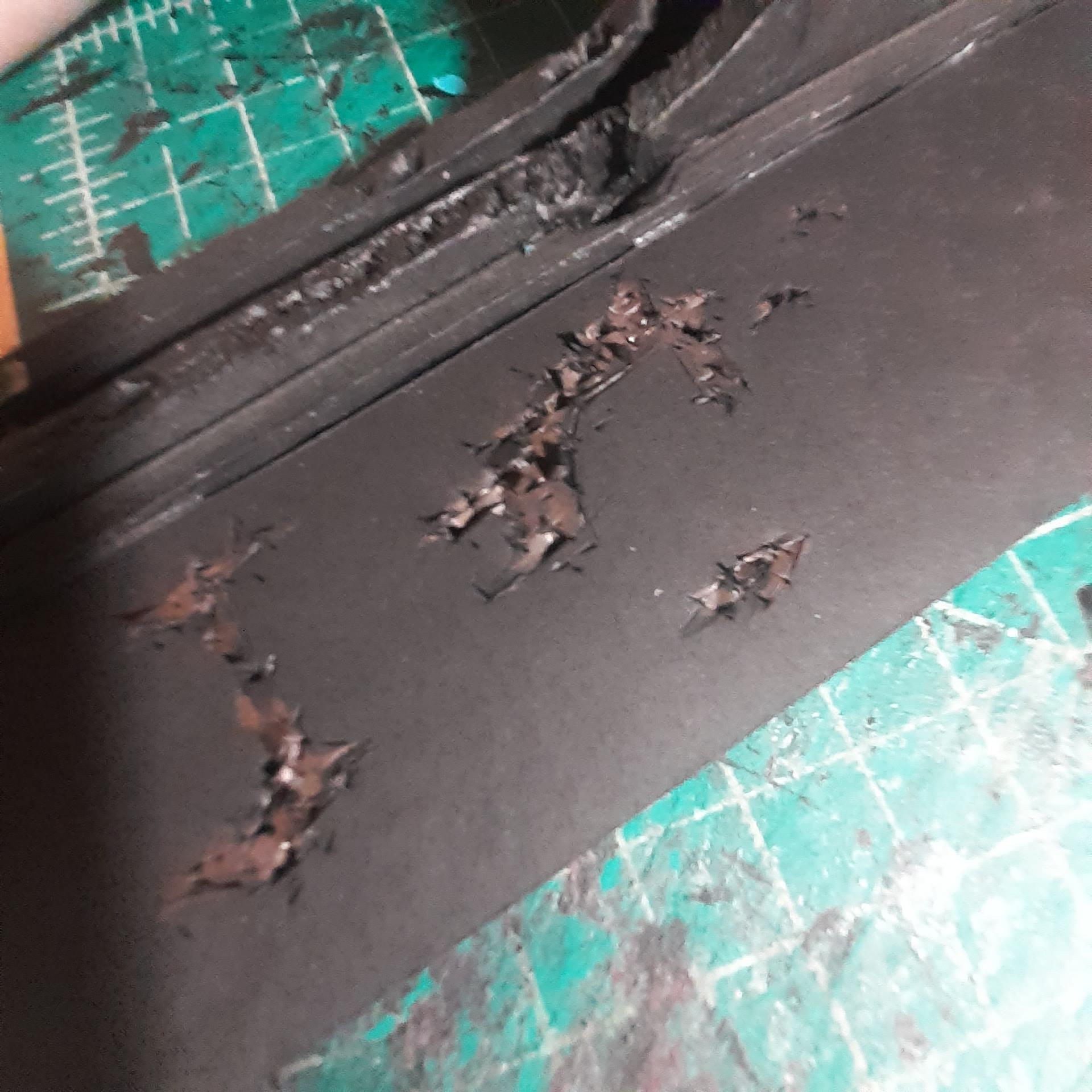 Custom, Inq28, Necromunda, Scratch Build, Spacehulk, Terrain, Waaazag, Warhammer 40,000