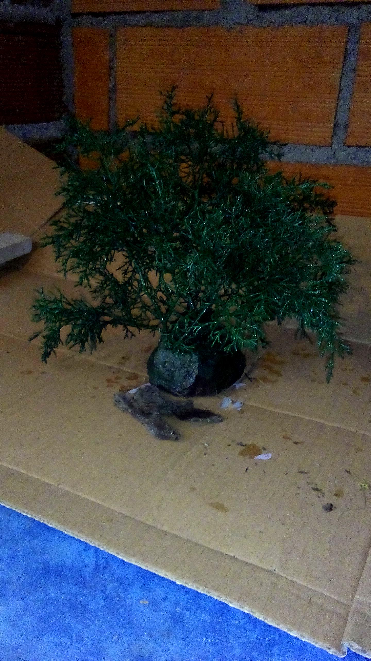 Greenscorpion, Workshop