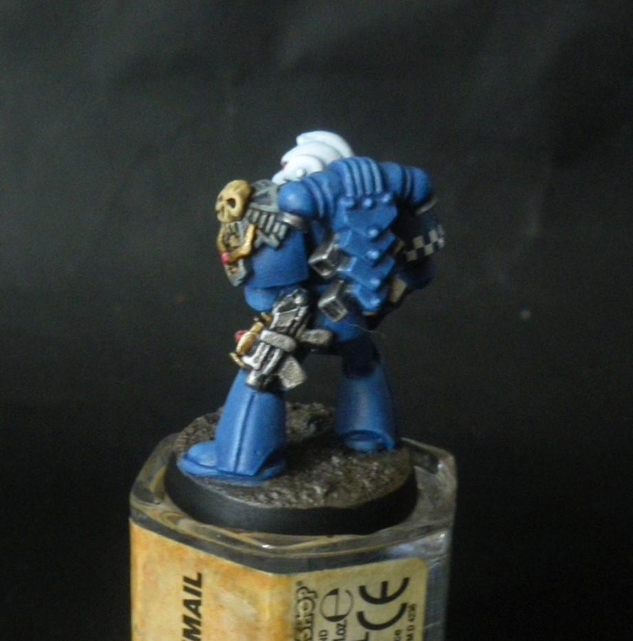 Rogue Trader, Veteran