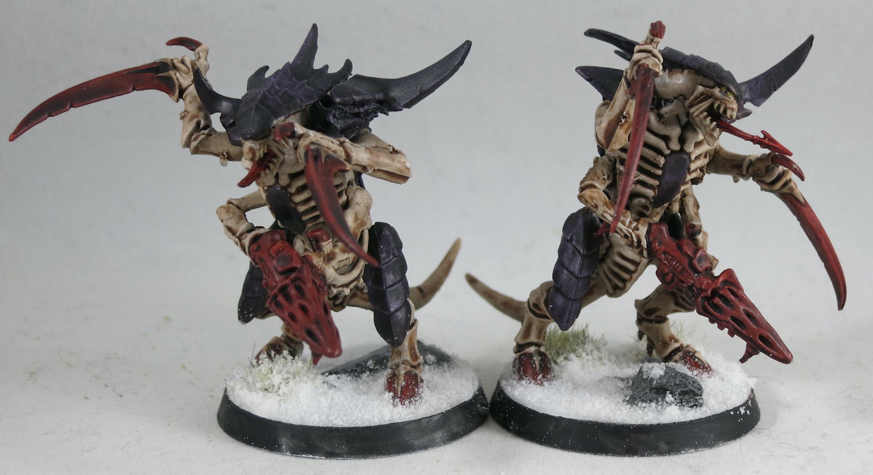 Warriors
