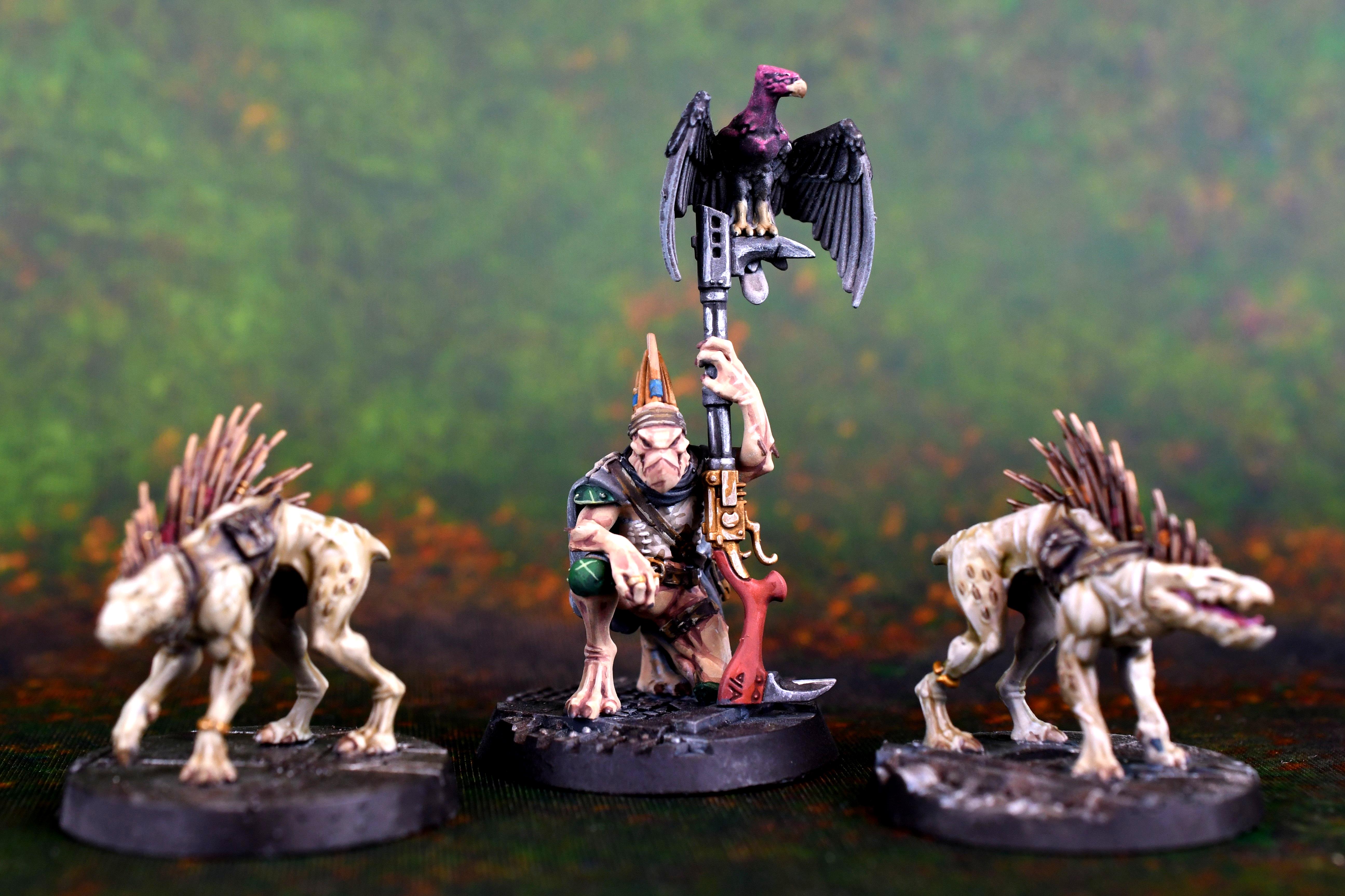 Kroot, Tau Empire, Kroot Tracker and Hounds