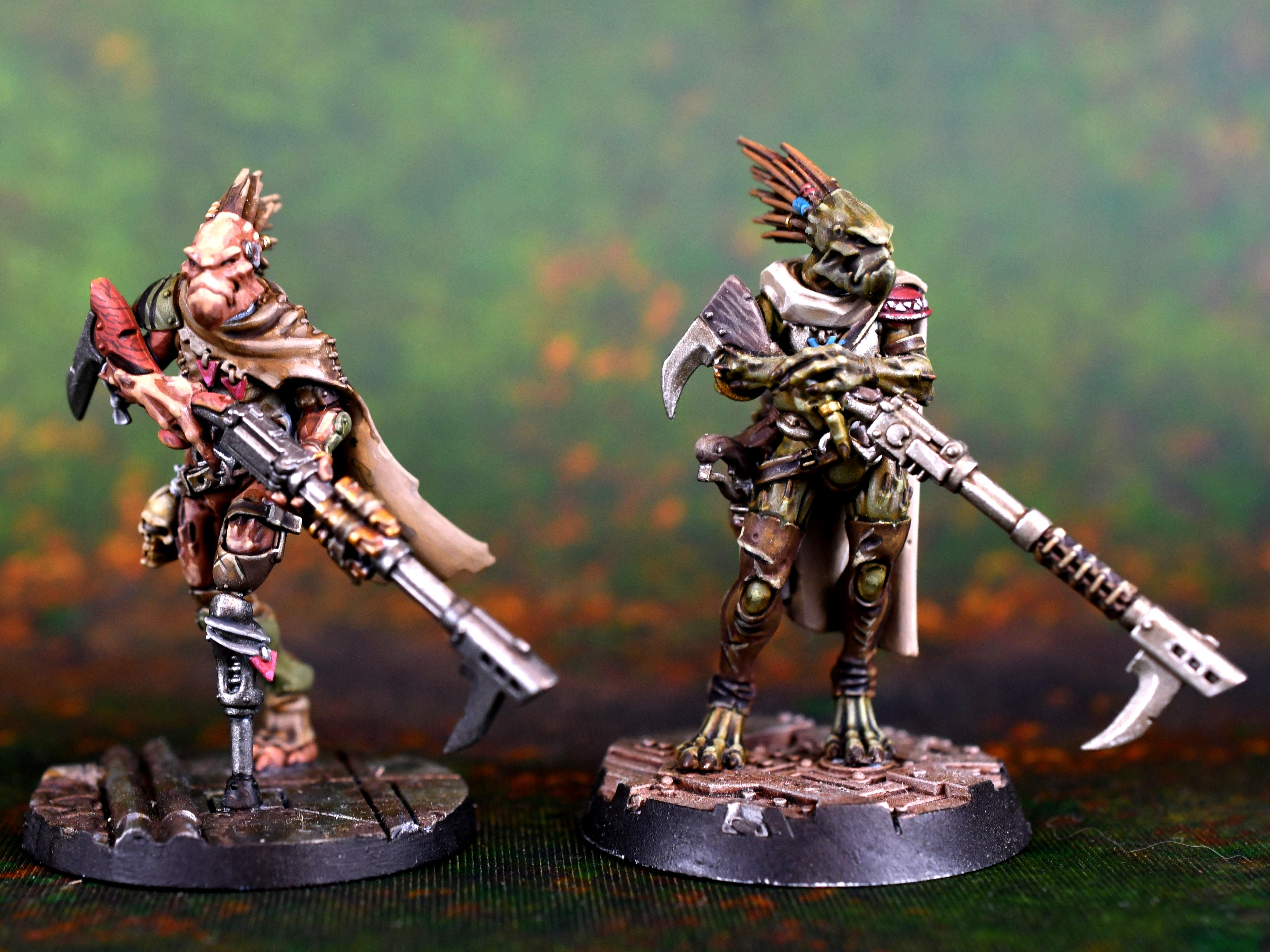 Kroot, Tau Empire, Kroot Cold-Blood and Warrior
