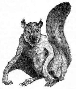 Ptera-squirrel illustration 