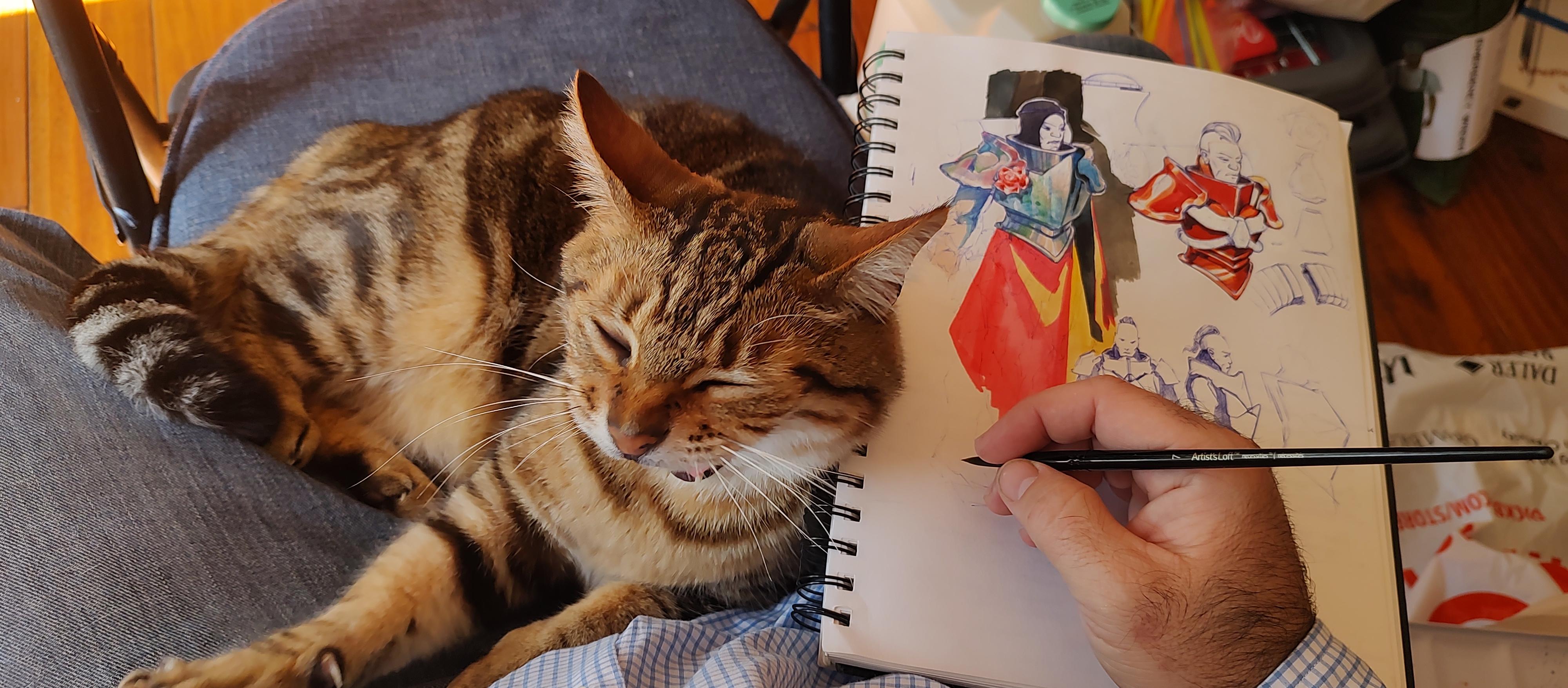 Cat, Sob cat