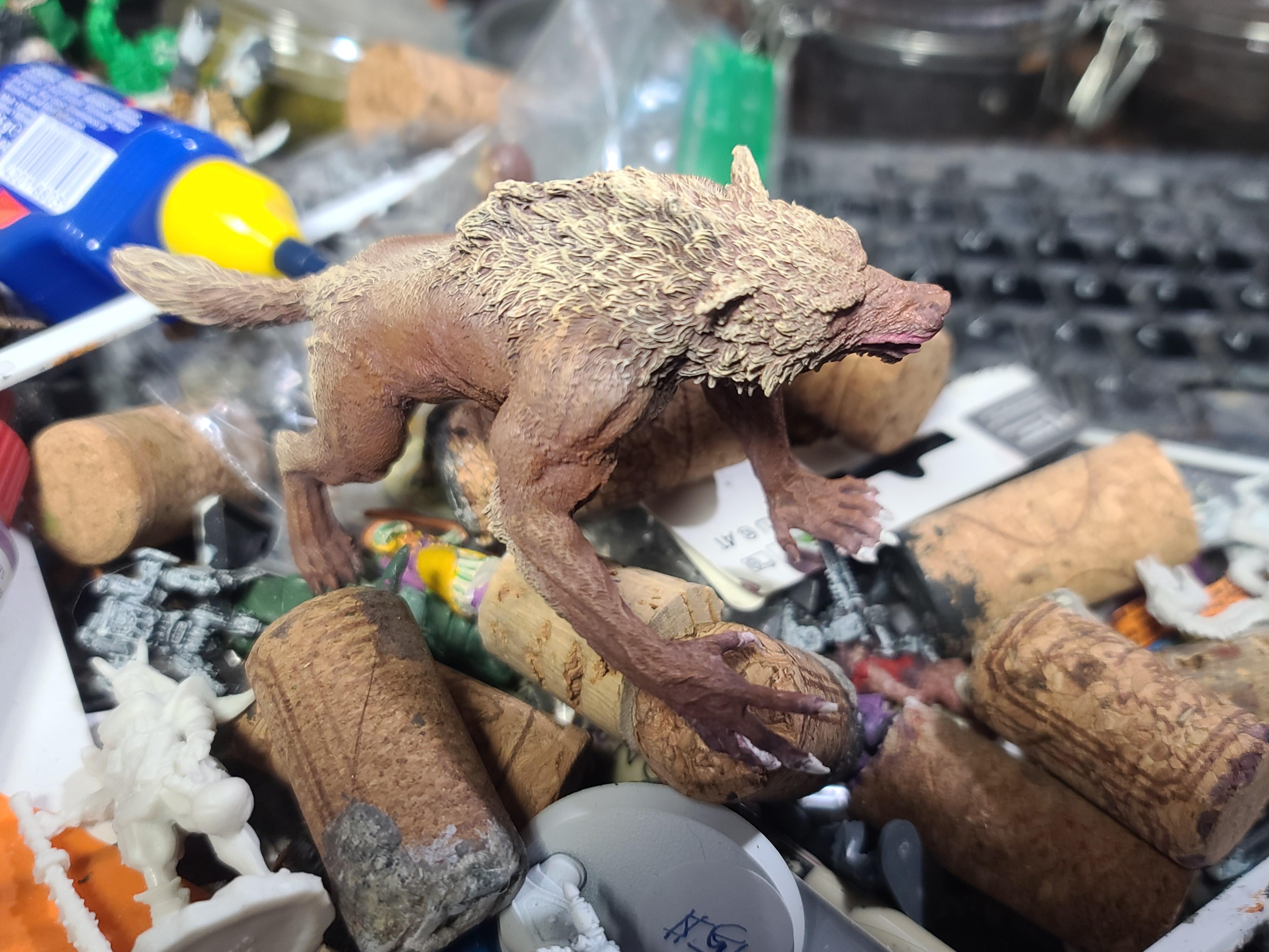 Anglcyn, Cnebba, Maegenwulf, Mierce, Werewolf