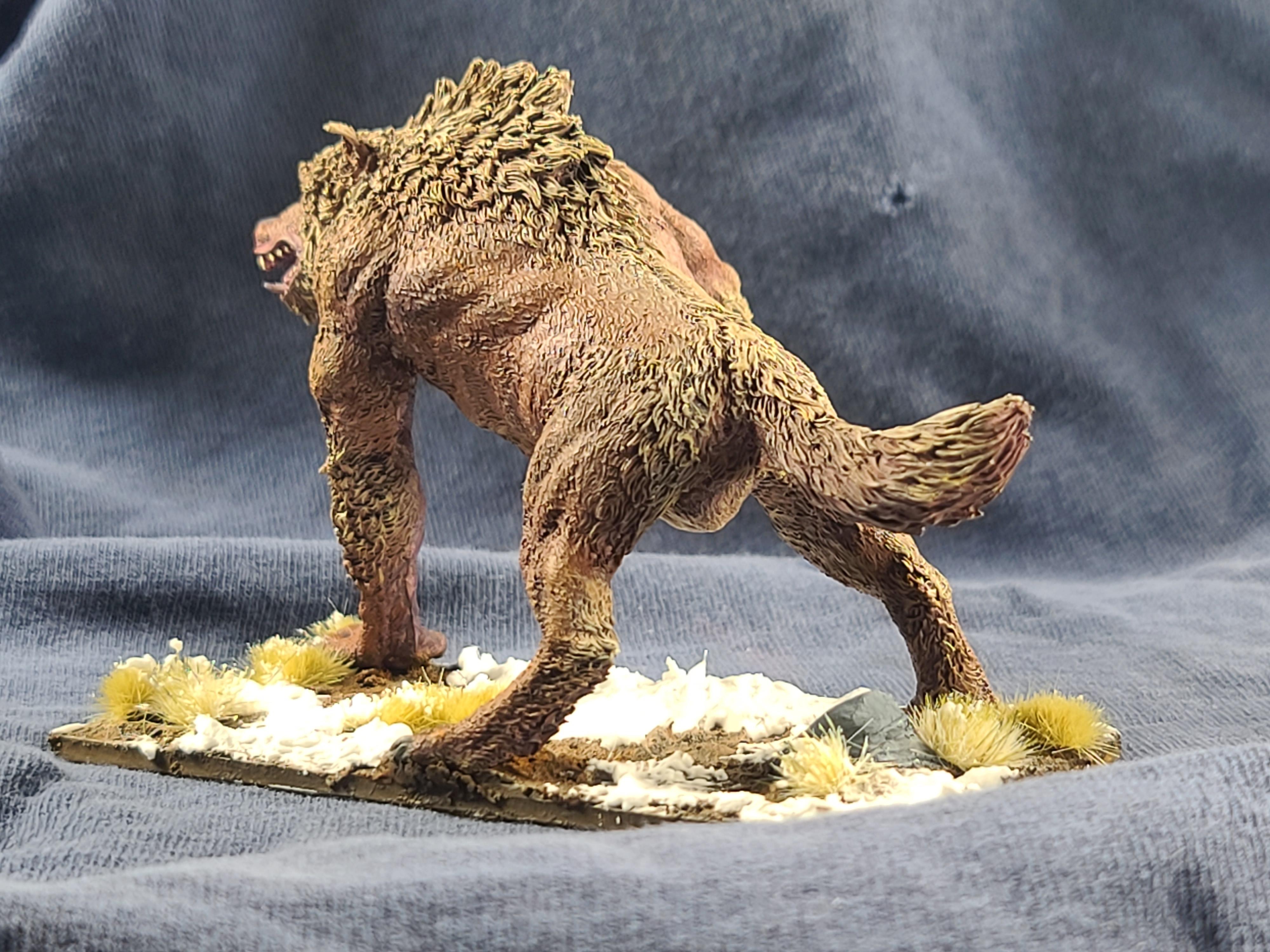 50x100 Base, Anatomically Correct, Anglcynn, Cnebba, Darklands, Drybrush Painting, Maegenwulf, Mierce Miniatures, Monster, Werewolf