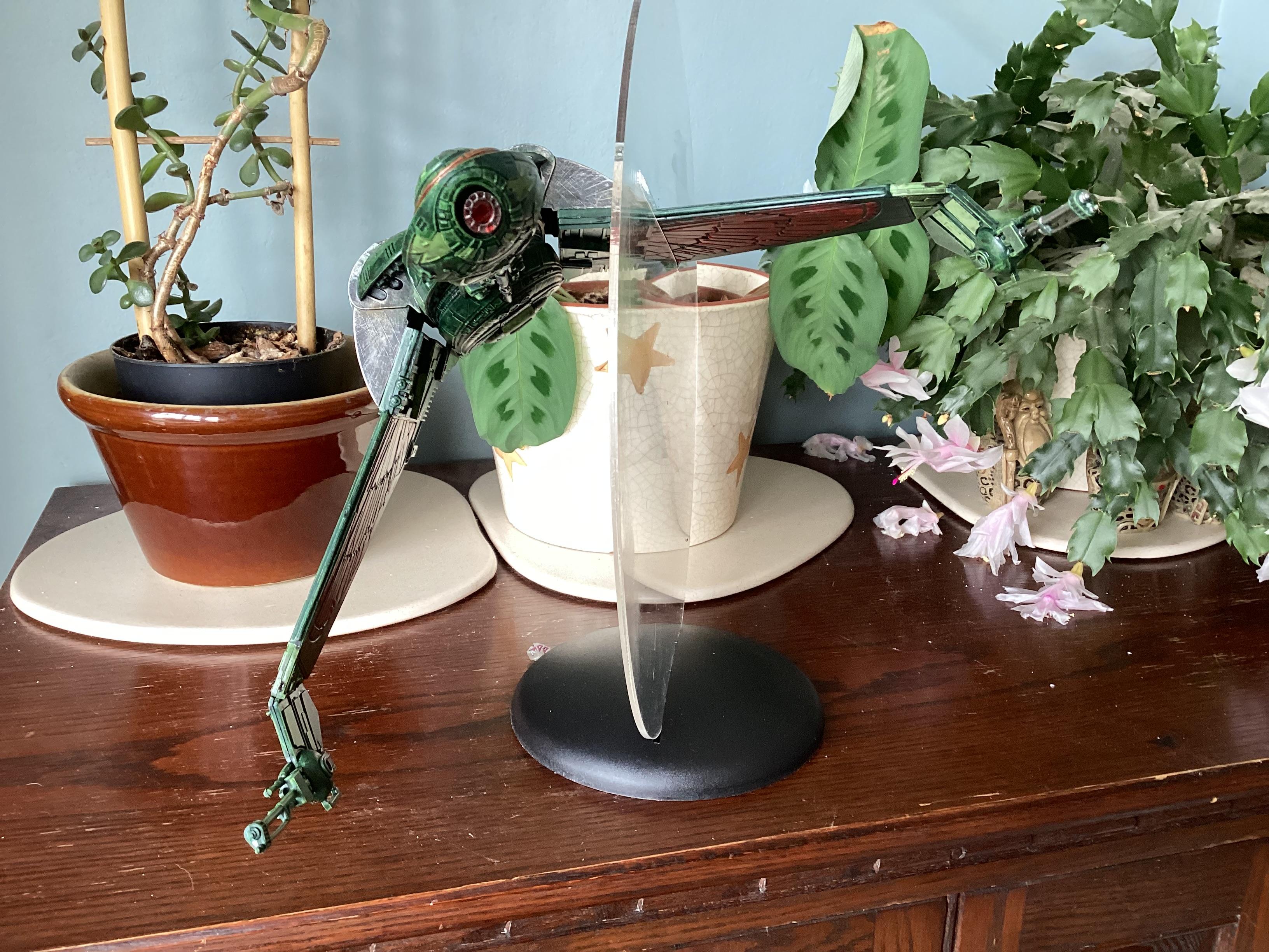 Bird Of Prey, Klingon, Star Trek