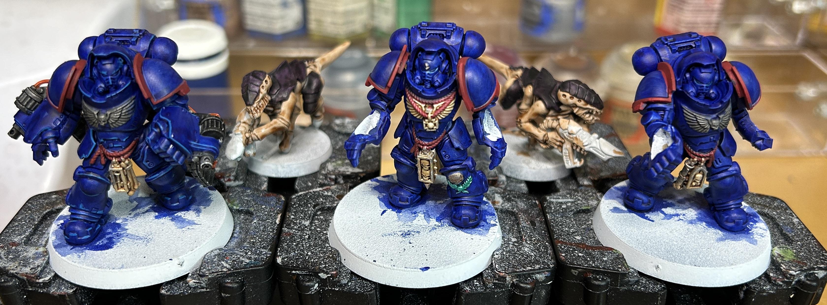 4-29 WIP