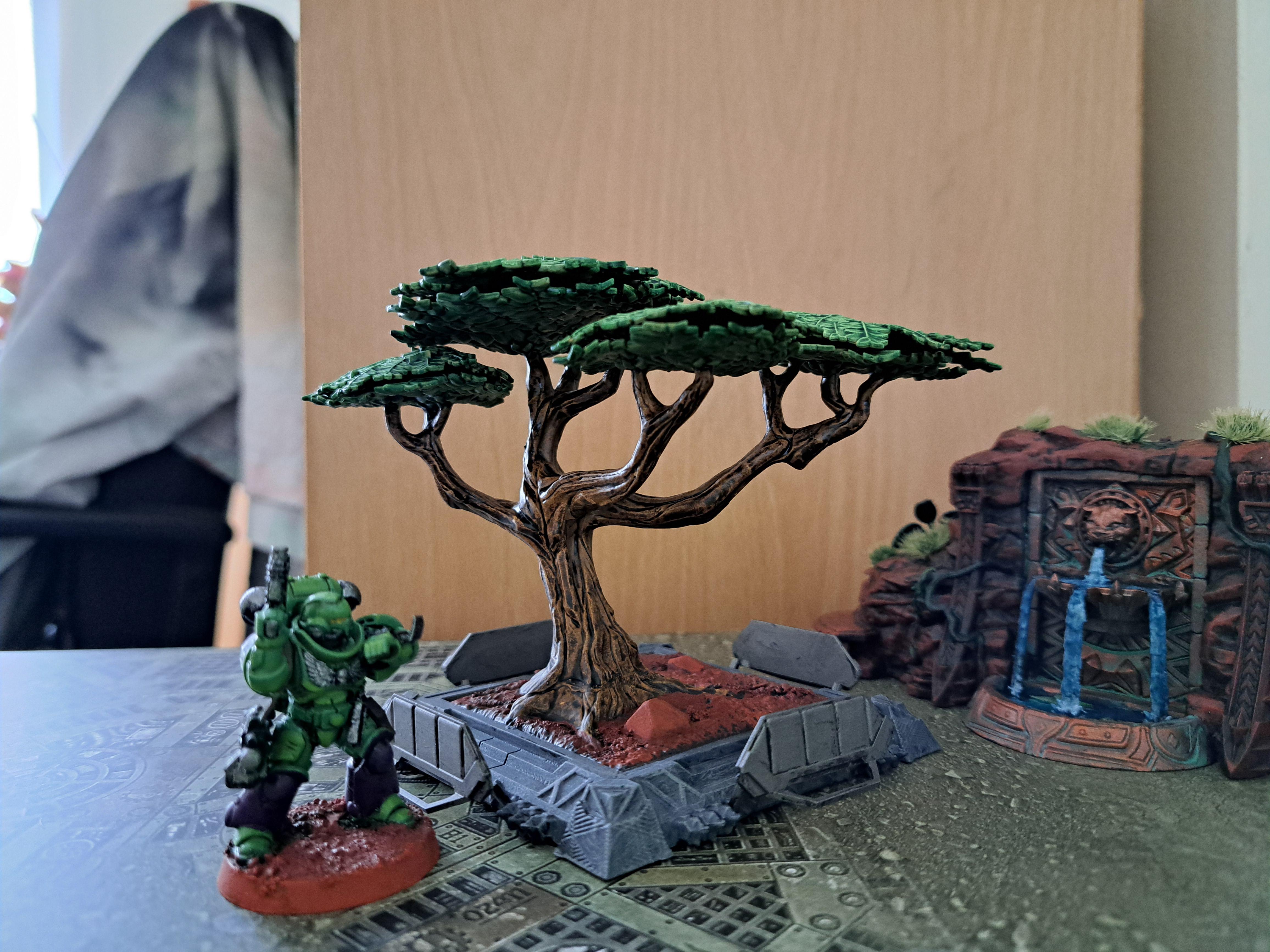 Iroko, Iroko Tree, Mcp, Planter, Terrain, Trees