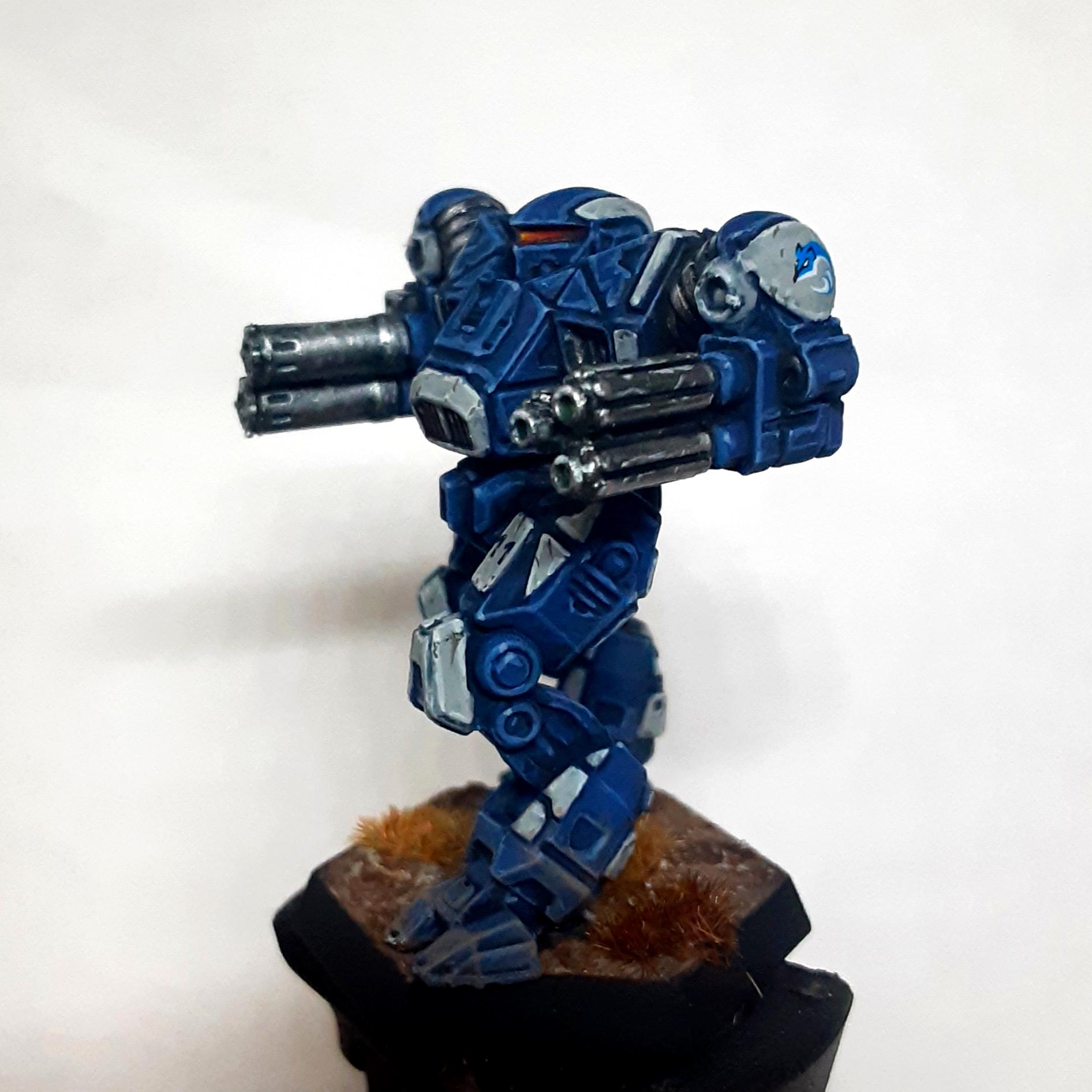 Battletech, Clan Sea Fox Nova Cat