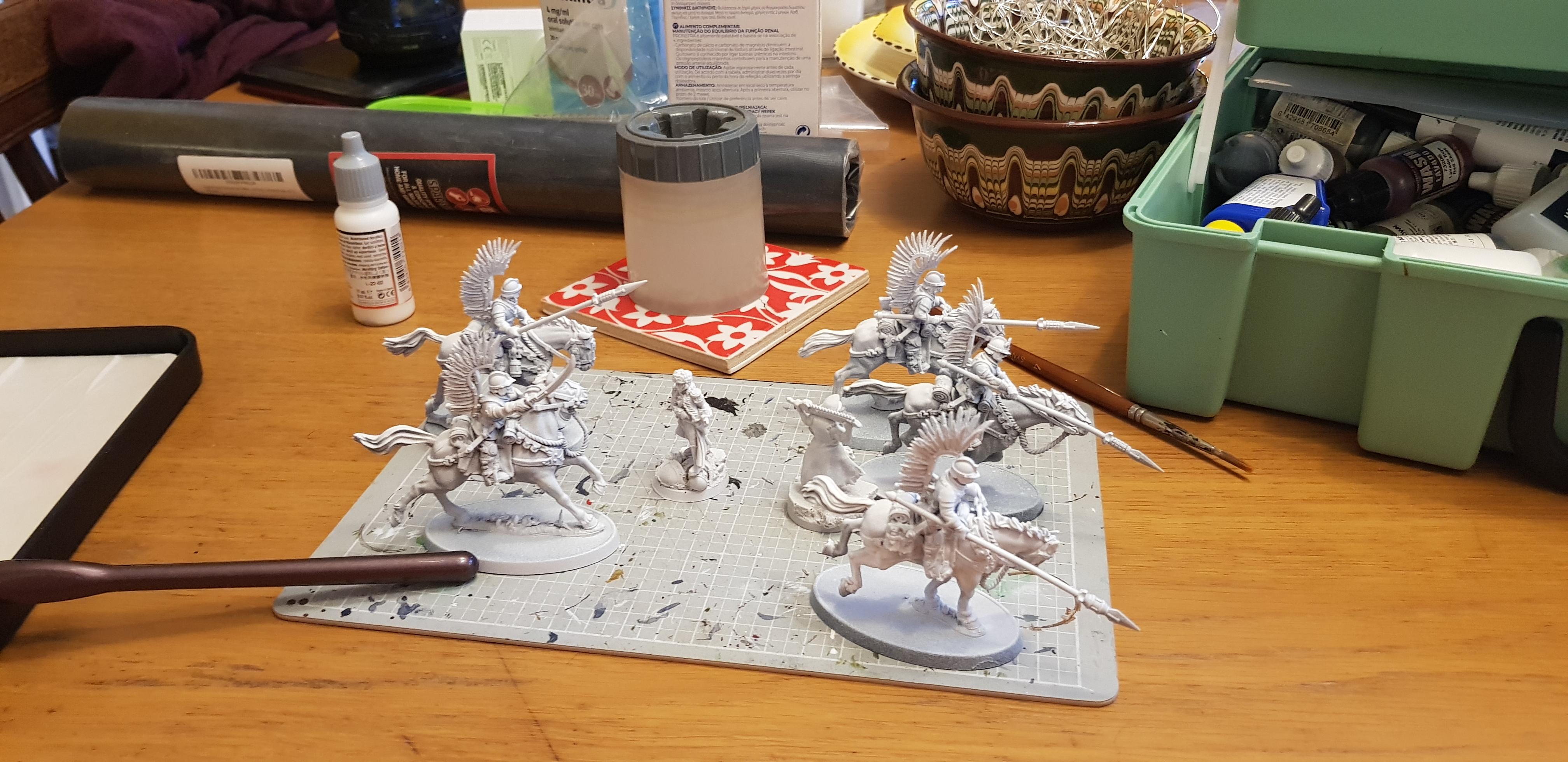 Imperial Guard, Work In Progress