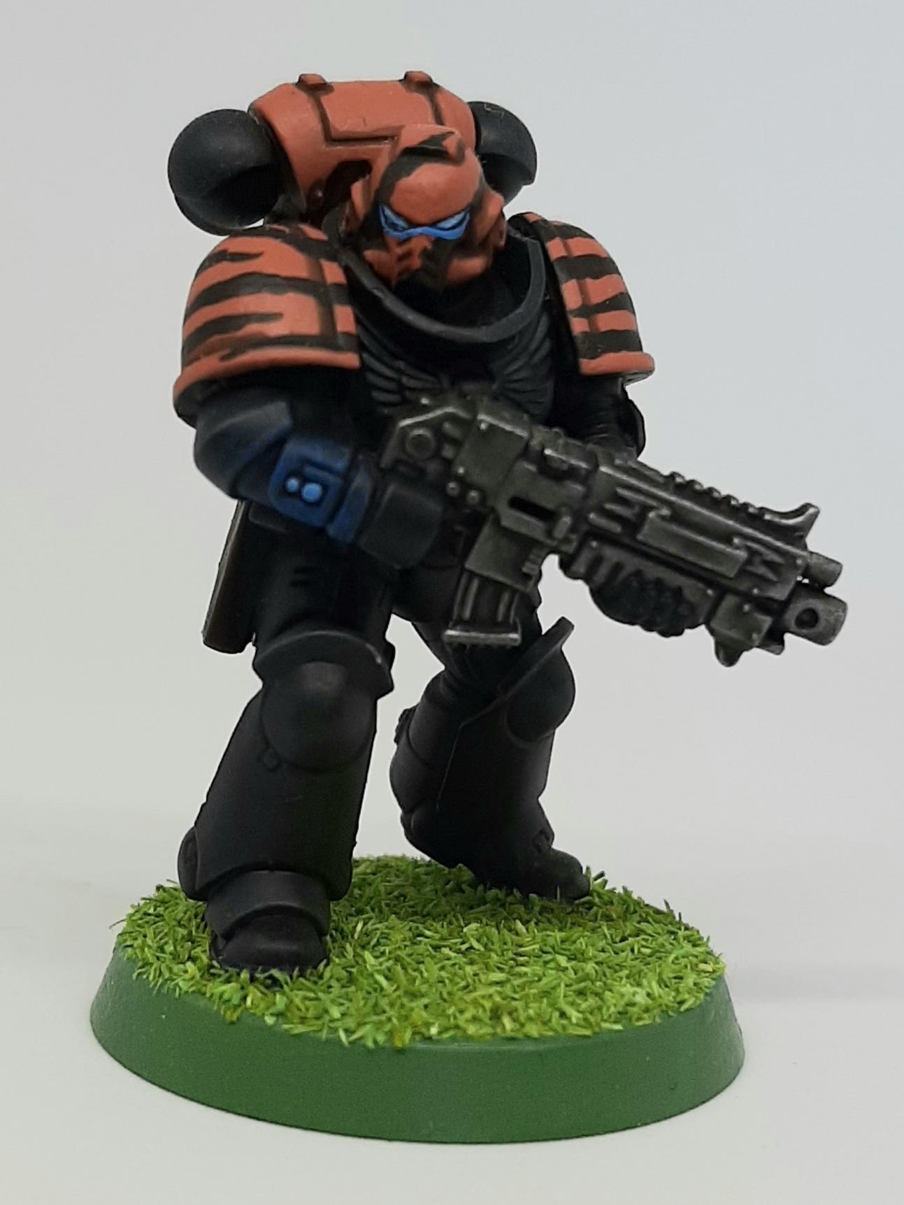 Bolter, Boltgun, Camouflage, Claw, Combat, Fang, Fighting, Forest, India, Intercessors, Jungle, Knife, Patrol, Paw, Pistol, Primaris, Saber, Space, Squad, Stripes, Tigers, Tooth, Veda, Wolf