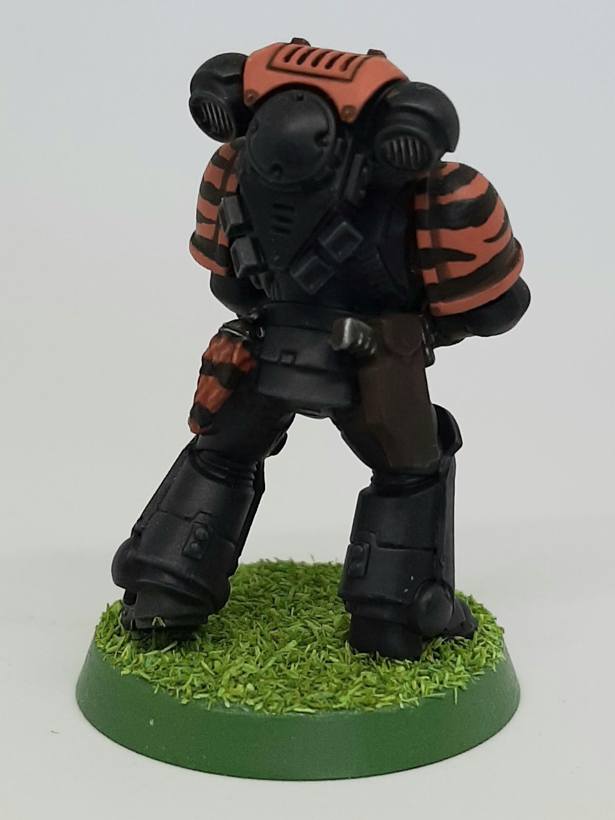 Bolter, Boltgun, Camouflage, Claw, Combat, Fang, Fighting, Forest, India, Intercessors, Jungle, Knife, Patrol, Paw, Pistol, Primaris, Saber, Space, Squad, Stripes, Tigers, Tooth, Veda, Wolf