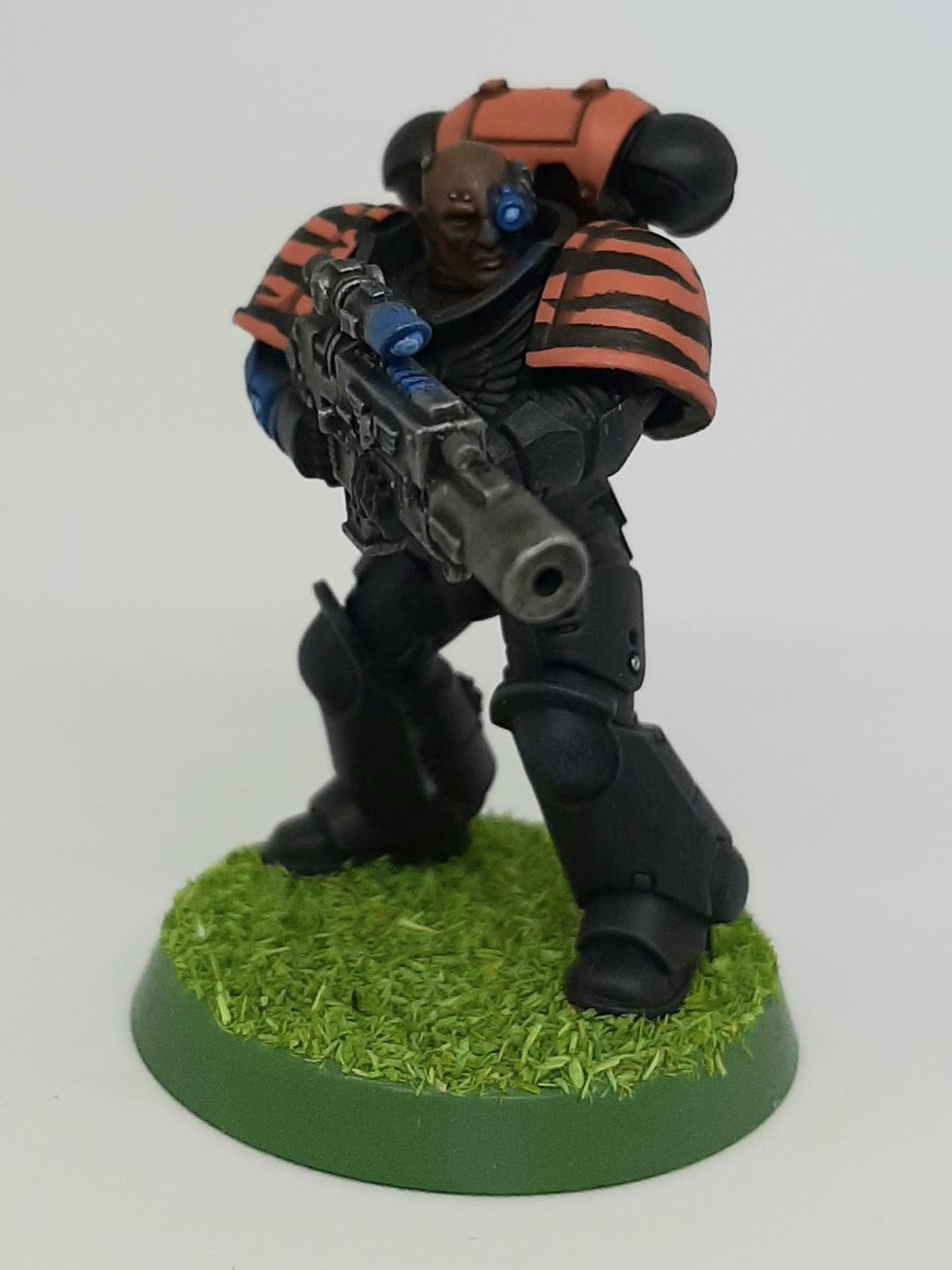 Bolter, Boltgun, Camouflage, Claw, Combat, Fang, Fighting, Forest, India, Intercessors, Jungle, Knife, Patrol, Paw, Pistol, Primaris, Saber, Space, Squad, Stripes, Tigers, Tooth, Veda, Wolf