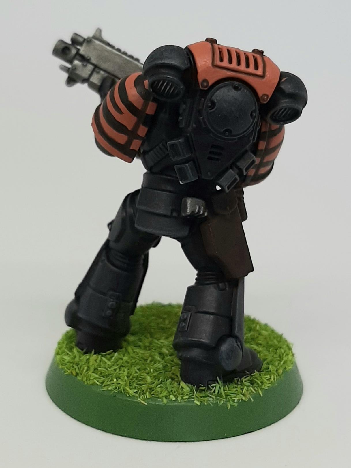 Bolter, Boltgun, Camouflage, Claw, Combat, Fang, Fighting, Forest, India, Intercessors, Jungle, Knife, Patrol, Paw, Pistol, Primaris, Saber, Space, Squad, Stripes, Tigers, Tooth, Veda, Wolf