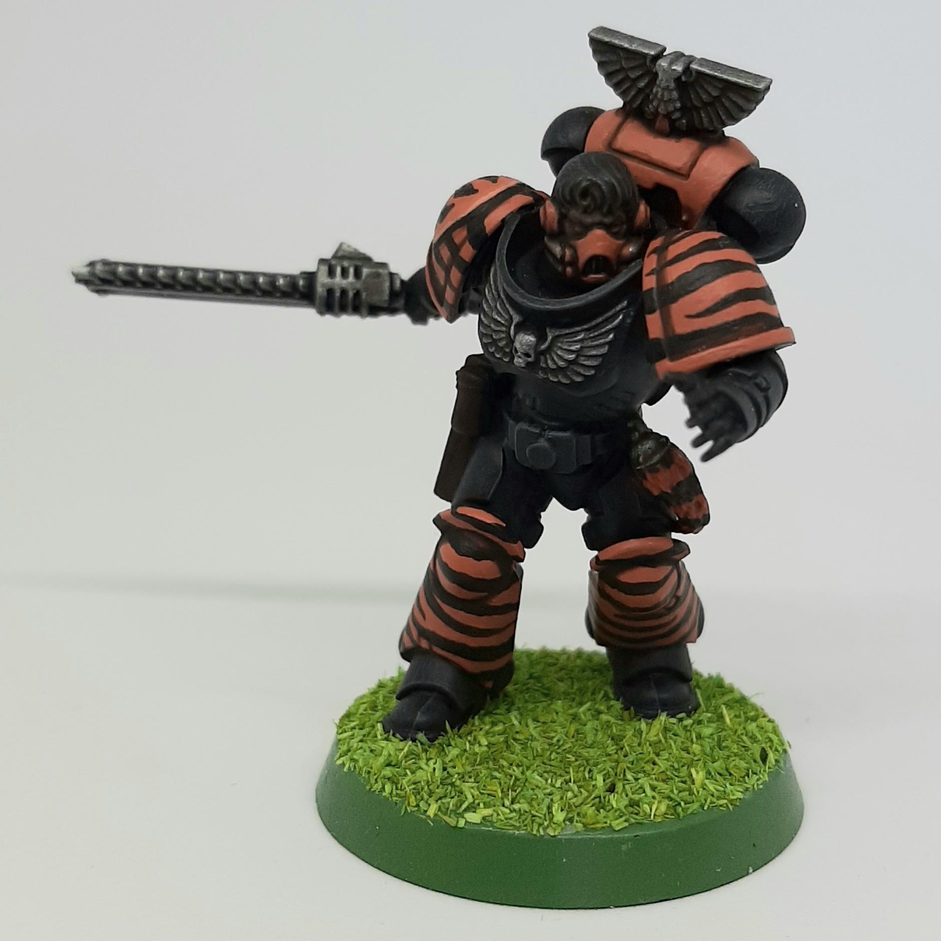 Bolter, Boltgun, Camouflage, Claw, Combat, Fang, Fighting, Forest, India, Intercessors, Jungle, Knife, Patrol, Paw, Pistol, Primaris, Saber, Space, Squad, Stripes, Tigers, Tooth, Veda, Wolf