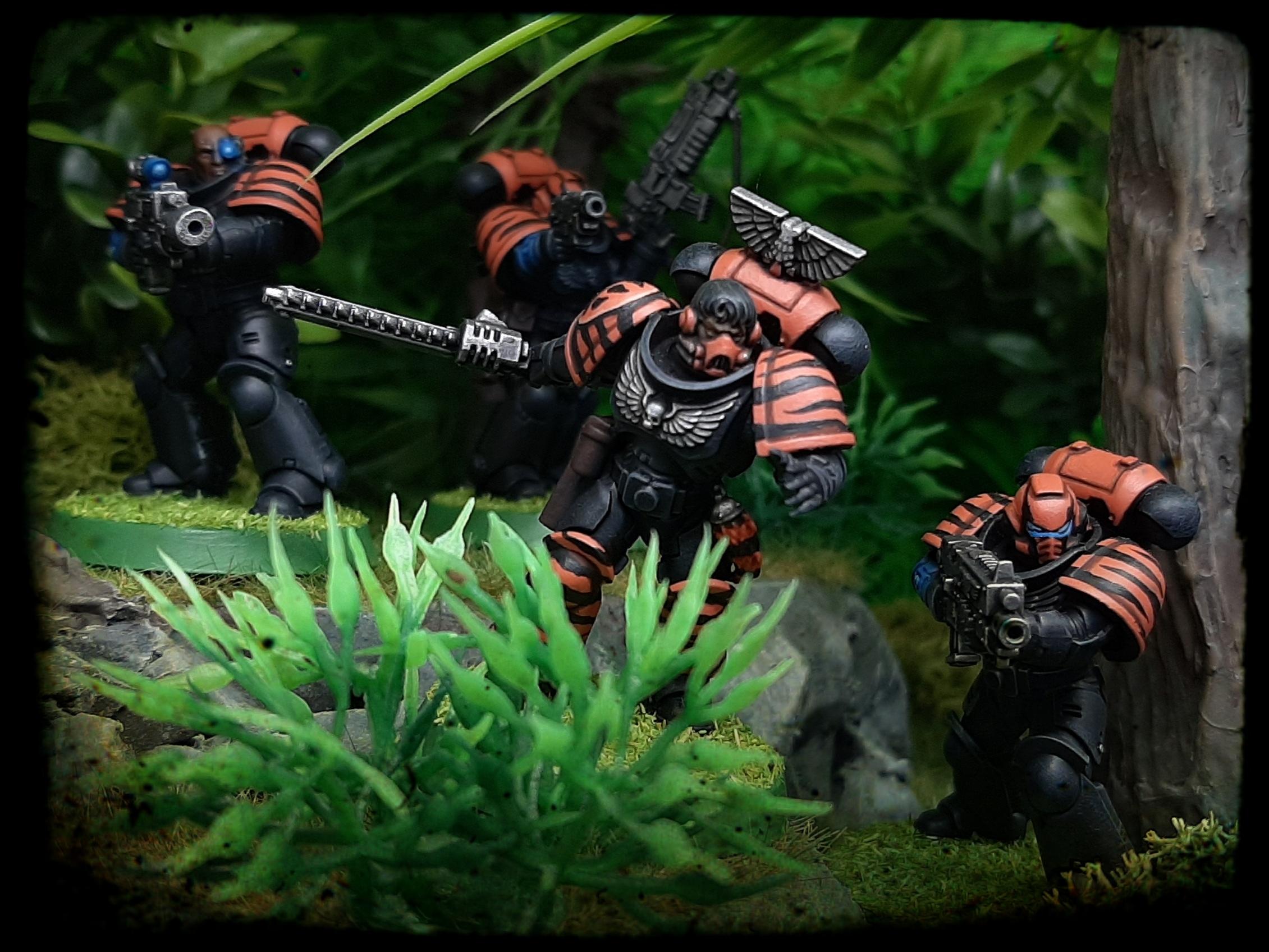 Bolter, Boltgun, Camouflage, Claw, Combat, Fang, Fighting, Forest, India, Intercessors, Jungle, Knife, Patrol, Paw, Pistol, Primaris, Saber, Space, Squad, Stripes, Tigers, Tooth, Veda, Wolf