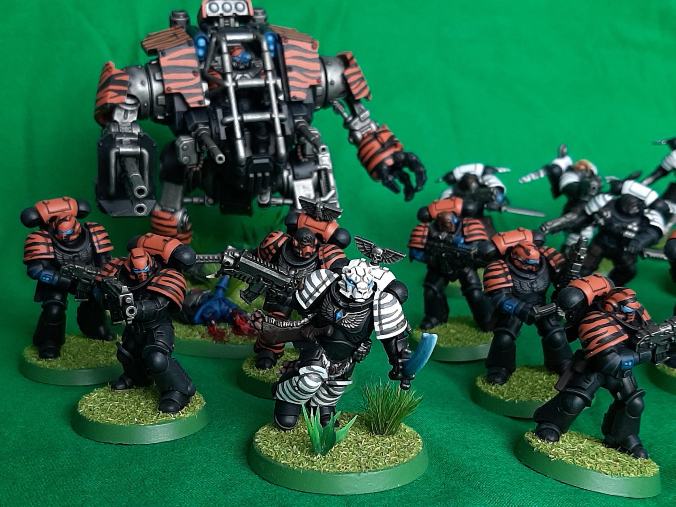 Adeptus, Astartes, Black, Camouflage, Combat, Female, Fighting, Forest, India, Jungle, Orange, Patrol, Space, Space Marines, Stripes, Tiger, Tigers, Veda, Warriors, White, Wolves