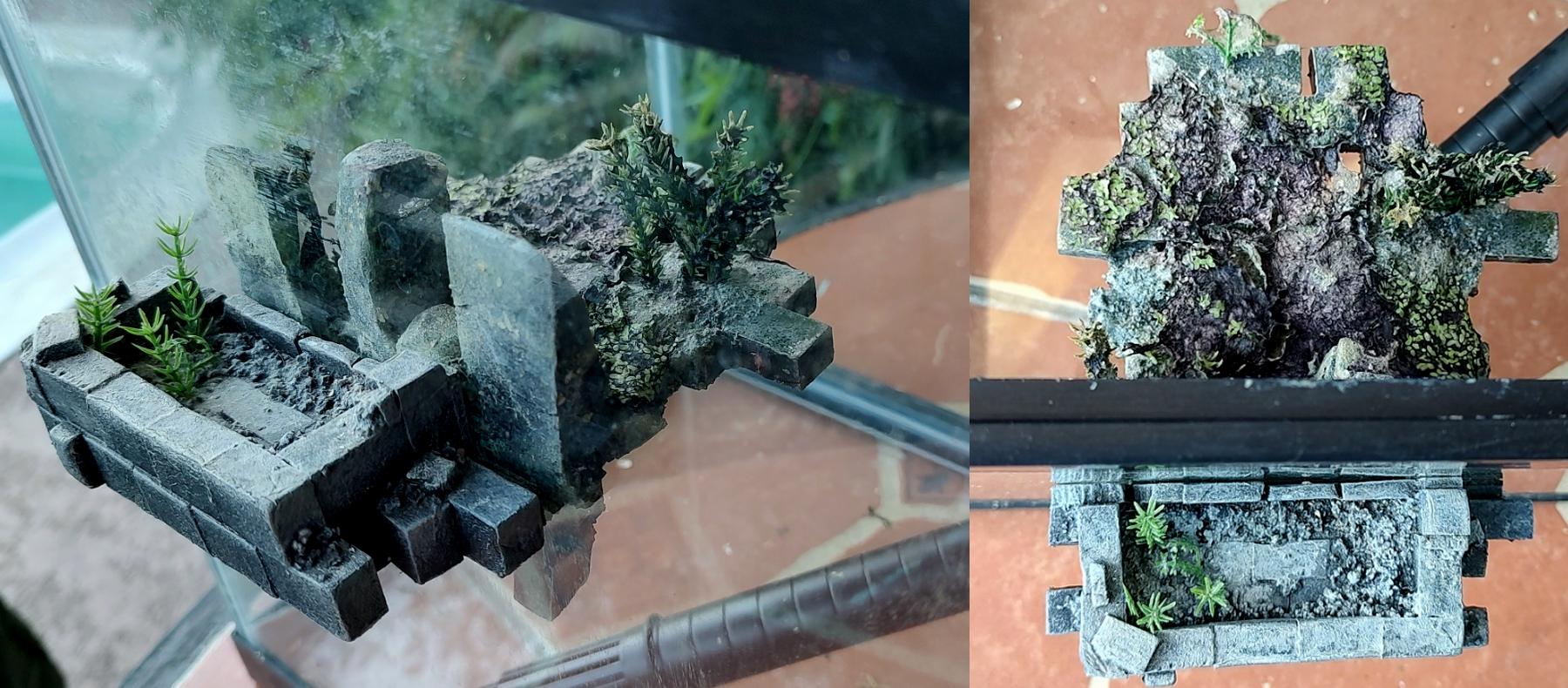 Aquarium, Terrain, Aquarium_73