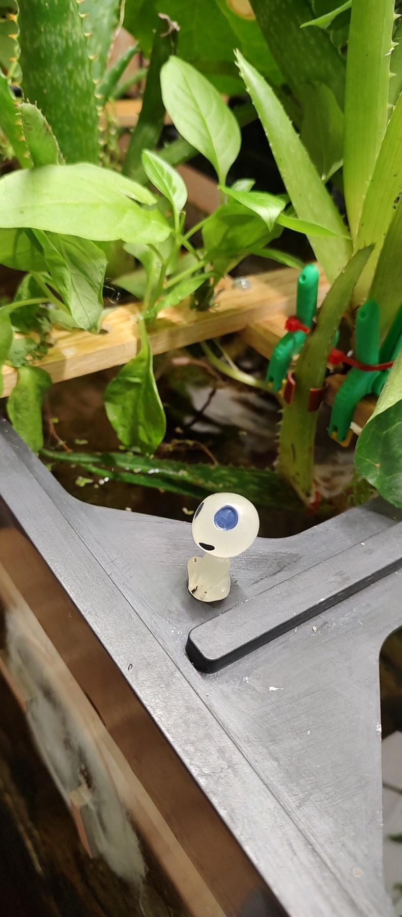Aquarium, Terrain, Aquarium_77